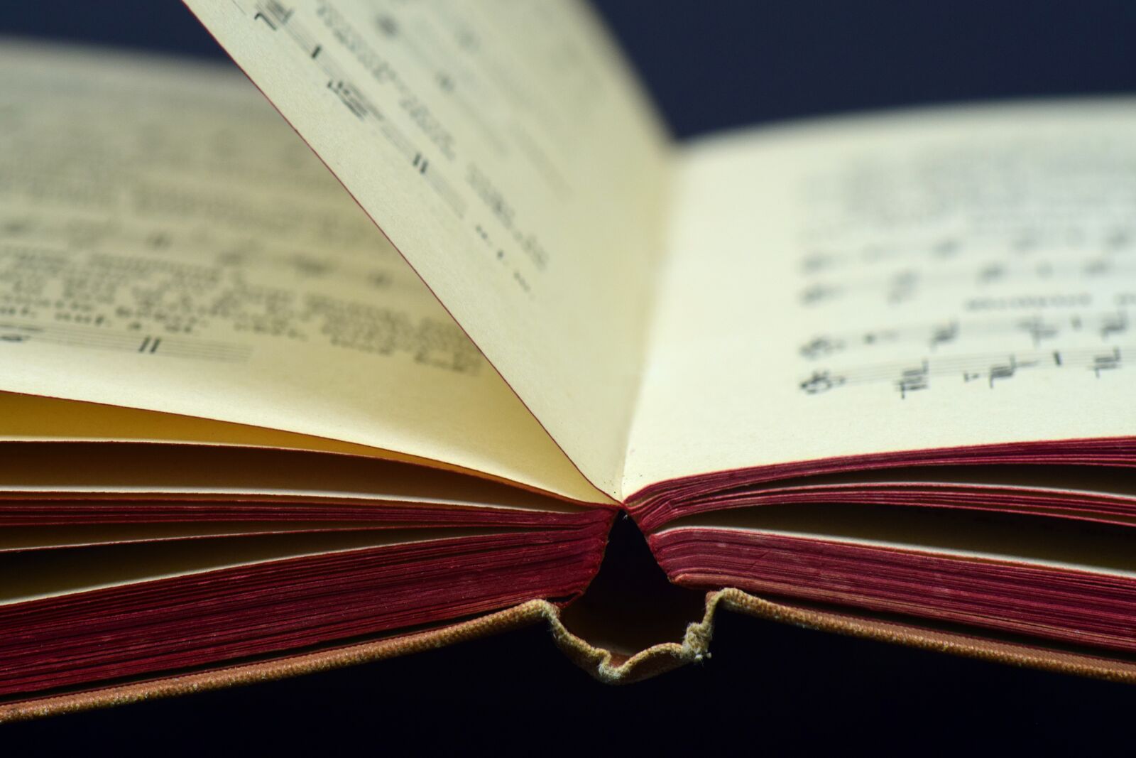 Nikon D3300 sample photo. Book, literature, paper photography