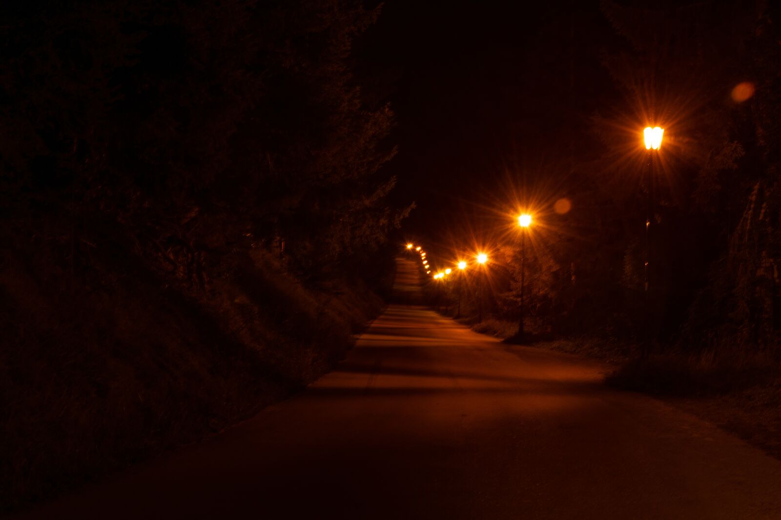 Nikon D3300 sample photo. Lamps, at night, lights photography