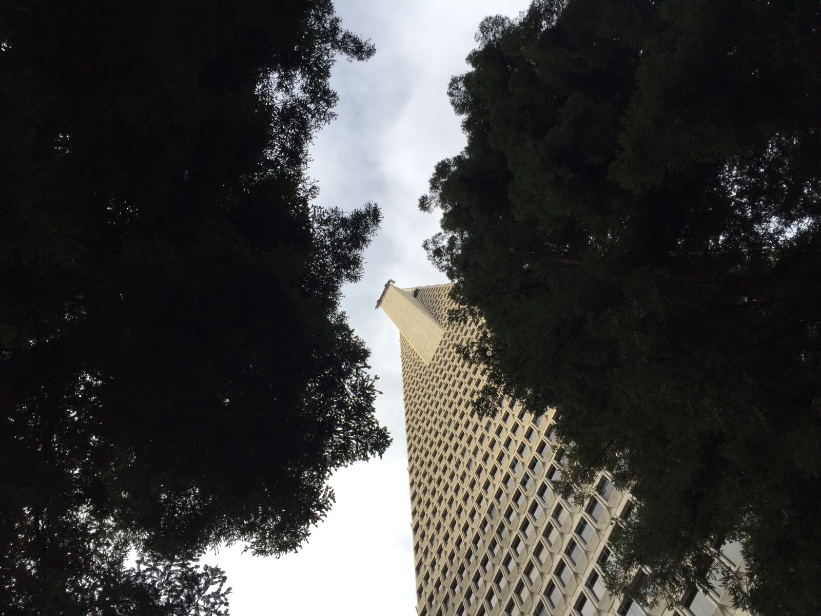 iPhone 6 back camera 4.15mm f/2.2 sample photo