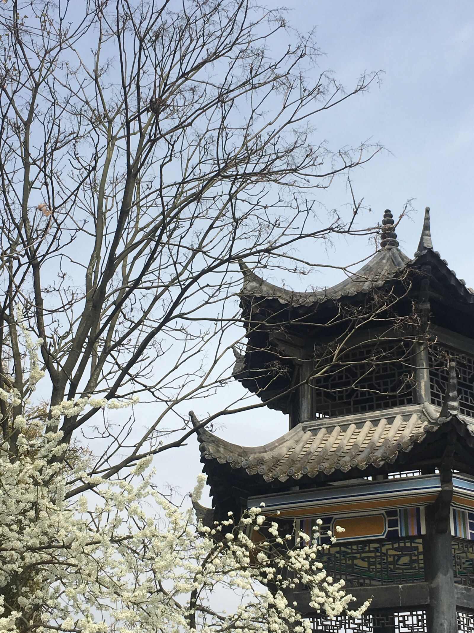 Apple iPhone 6s sample photo. Pavilion, tree, flower photography