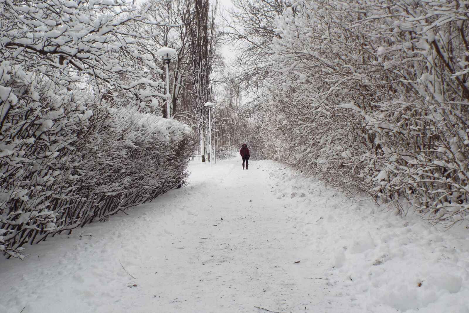 Fujifilm FinePix S8200 sample photo. Sweden, snow, winter photography