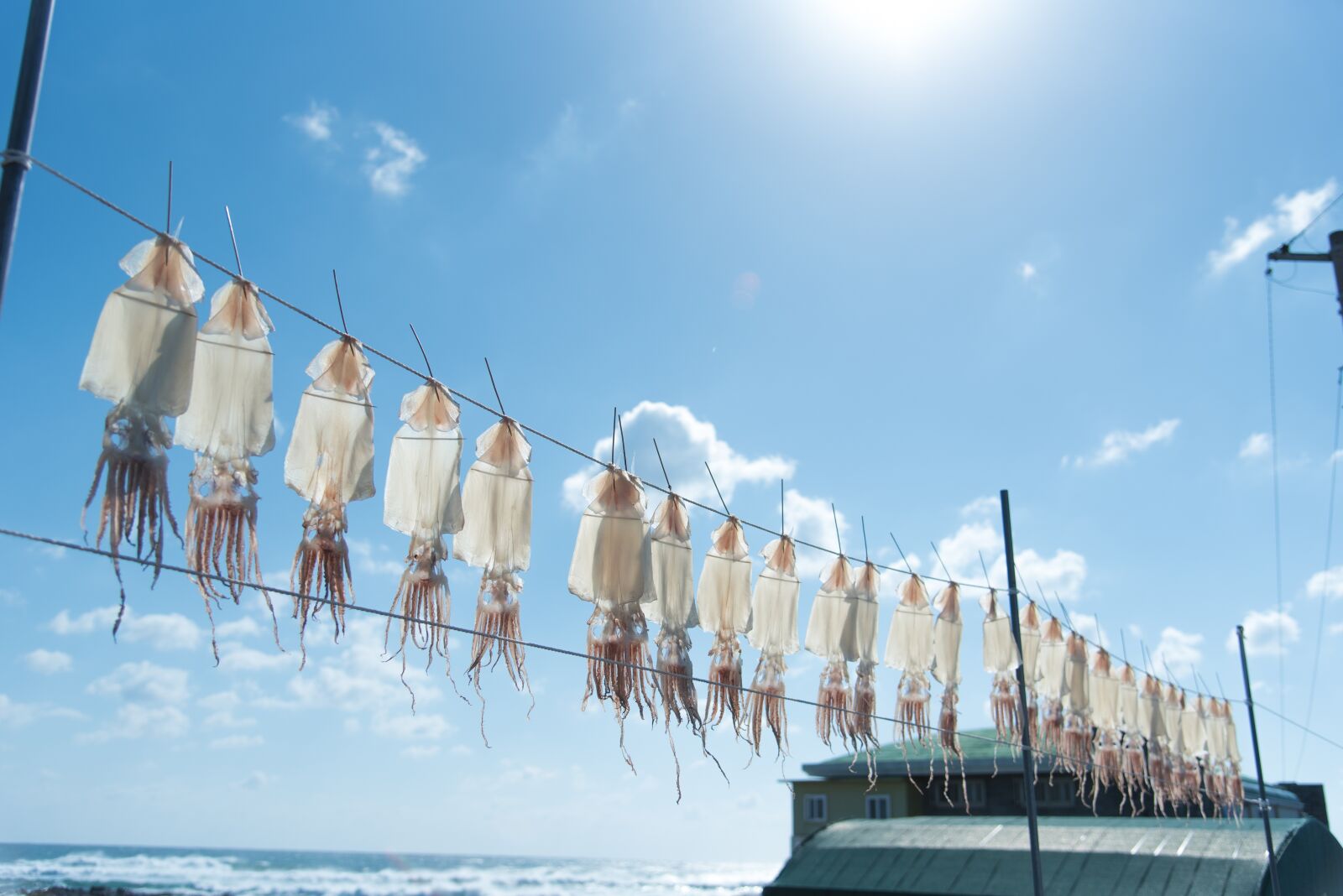 Nikon D750 sample photo. Sky, sea, jeju island photography