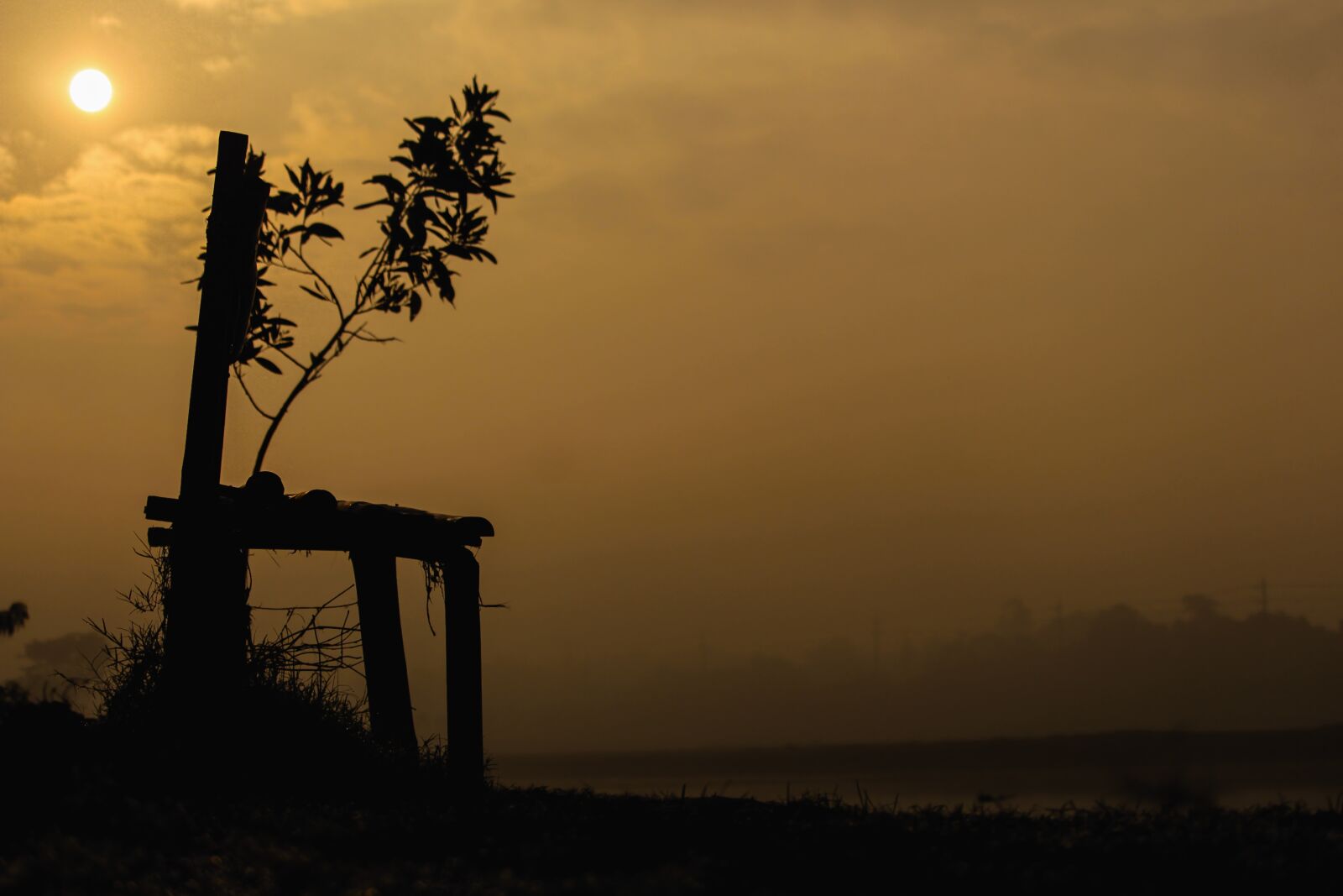 Canon EF-S 55-250mm F4-5.6 IS STM sample photo. Sunrise, winter morning, morning photography