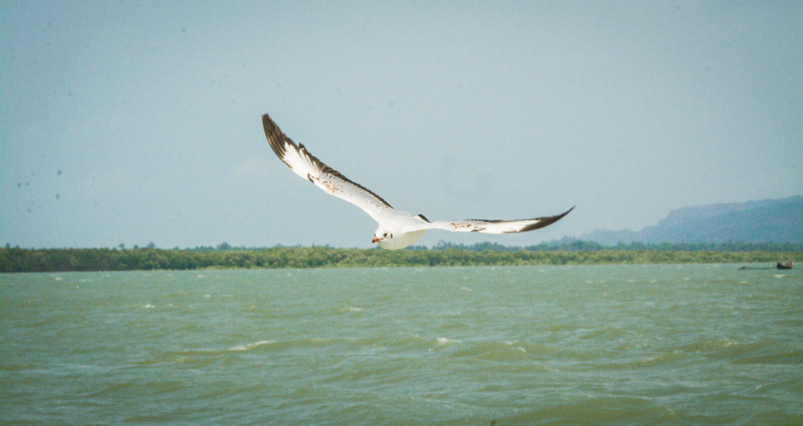 Nikon D7100 sample photo