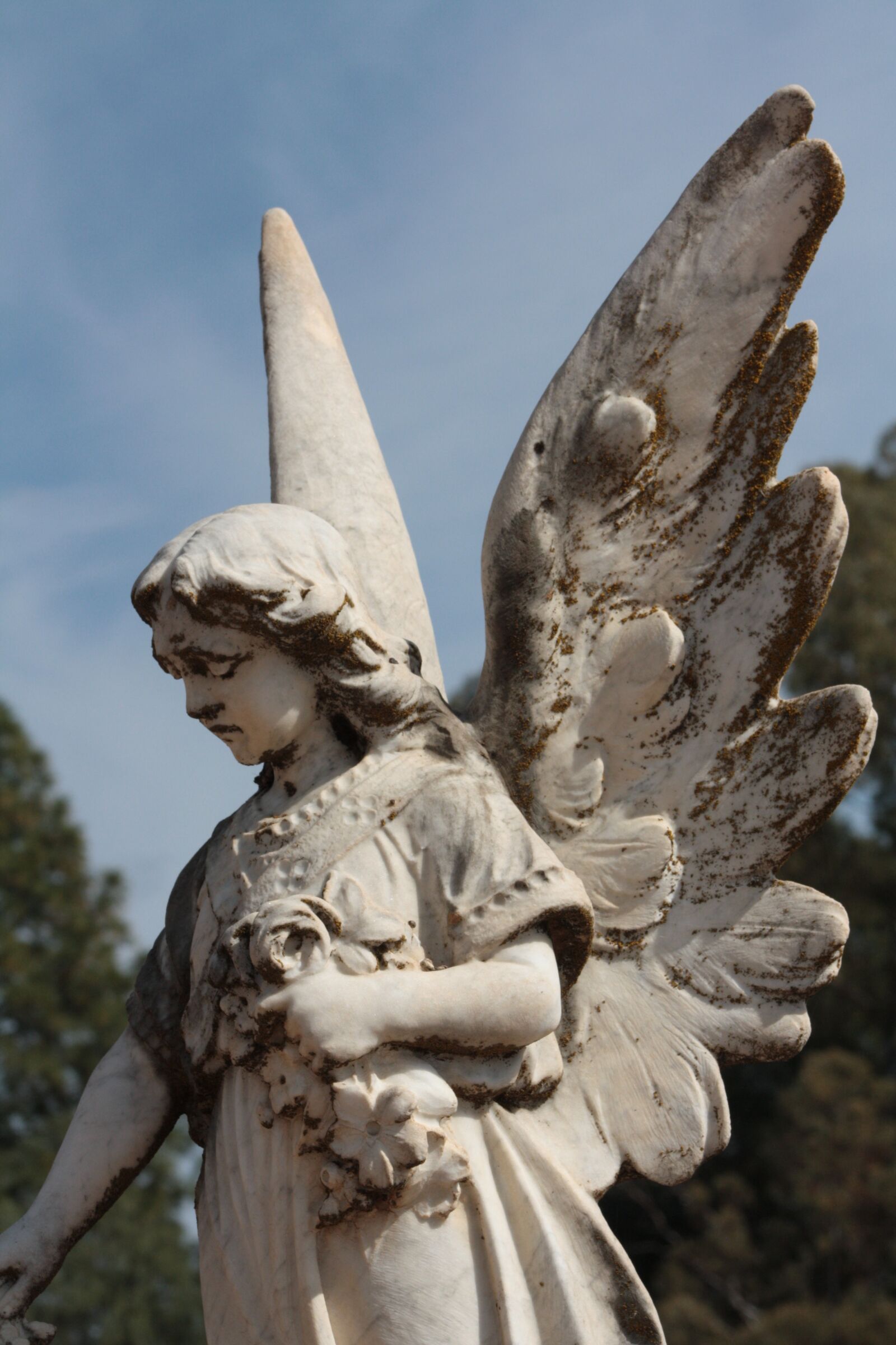 Canon EOS 1000D (EOS Digital Rebel XS / EOS Kiss F) sample photo. Angel, death, grave photography