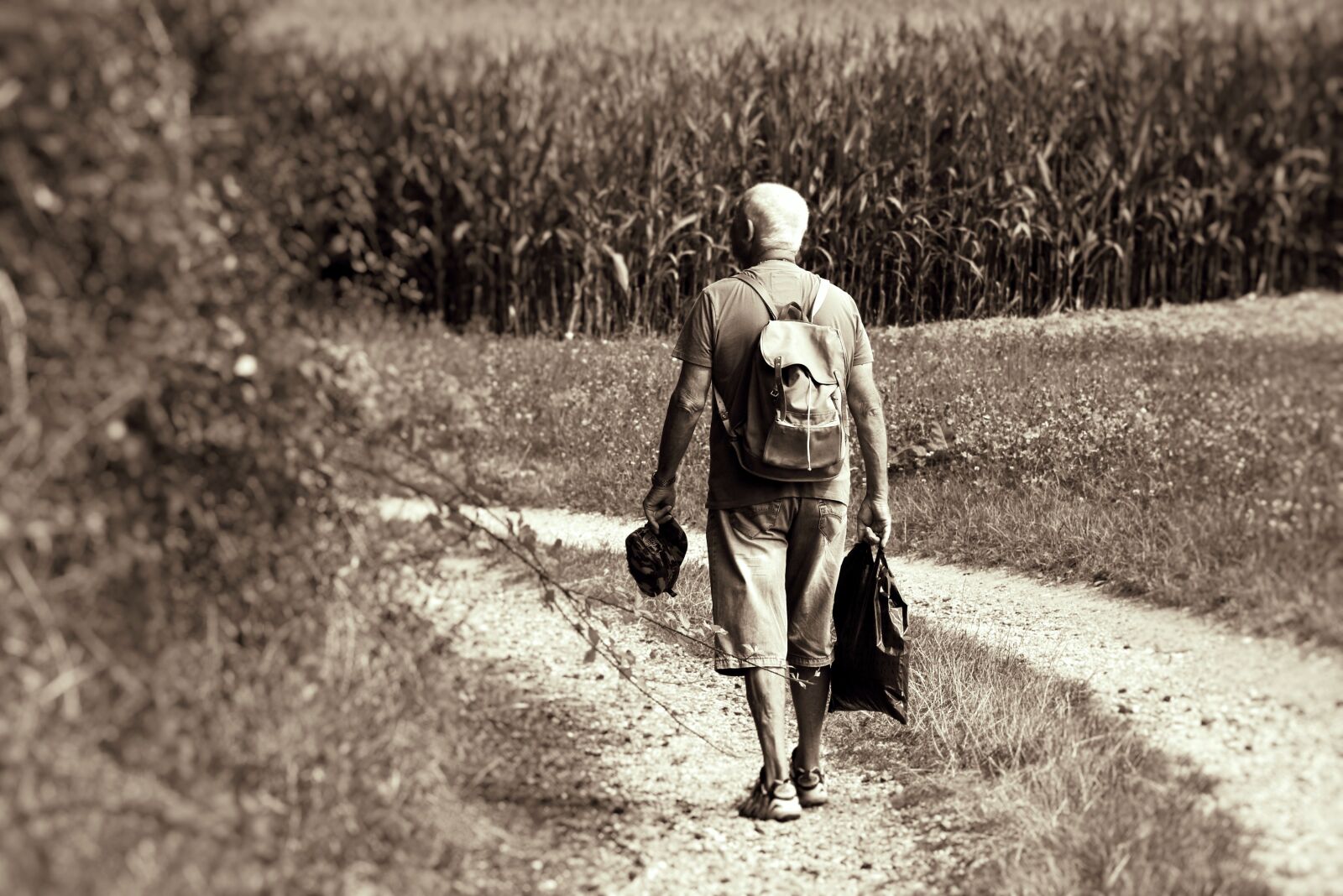 Nikon D7200 sample photo. Man, walk, senior photography