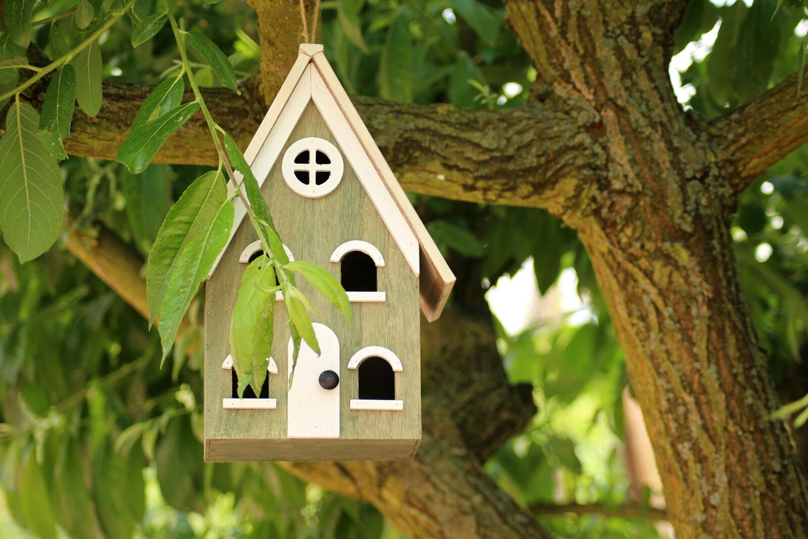 Canon EOS 1200D (EOS Rebel T5 / EOS Kiss X70 / EOS Hi) sample photo. Birdhouse, breeding shed, for photography