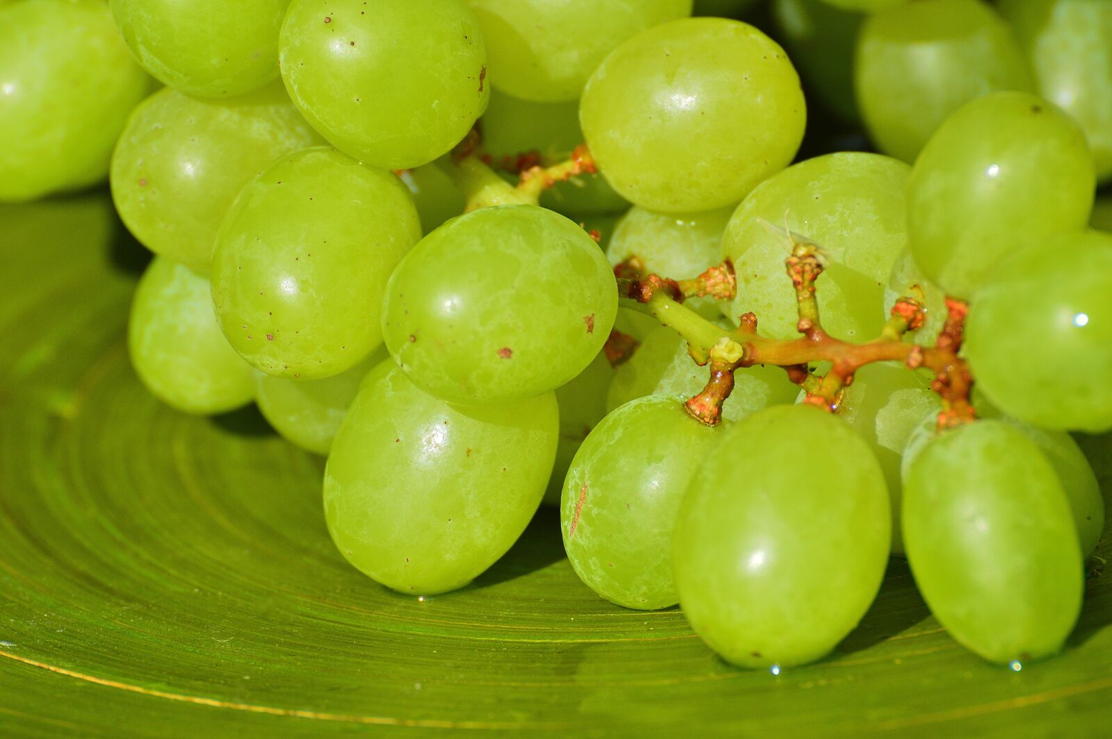 Nikon D3200 sample photo. Grapes, fruits, healthy photography