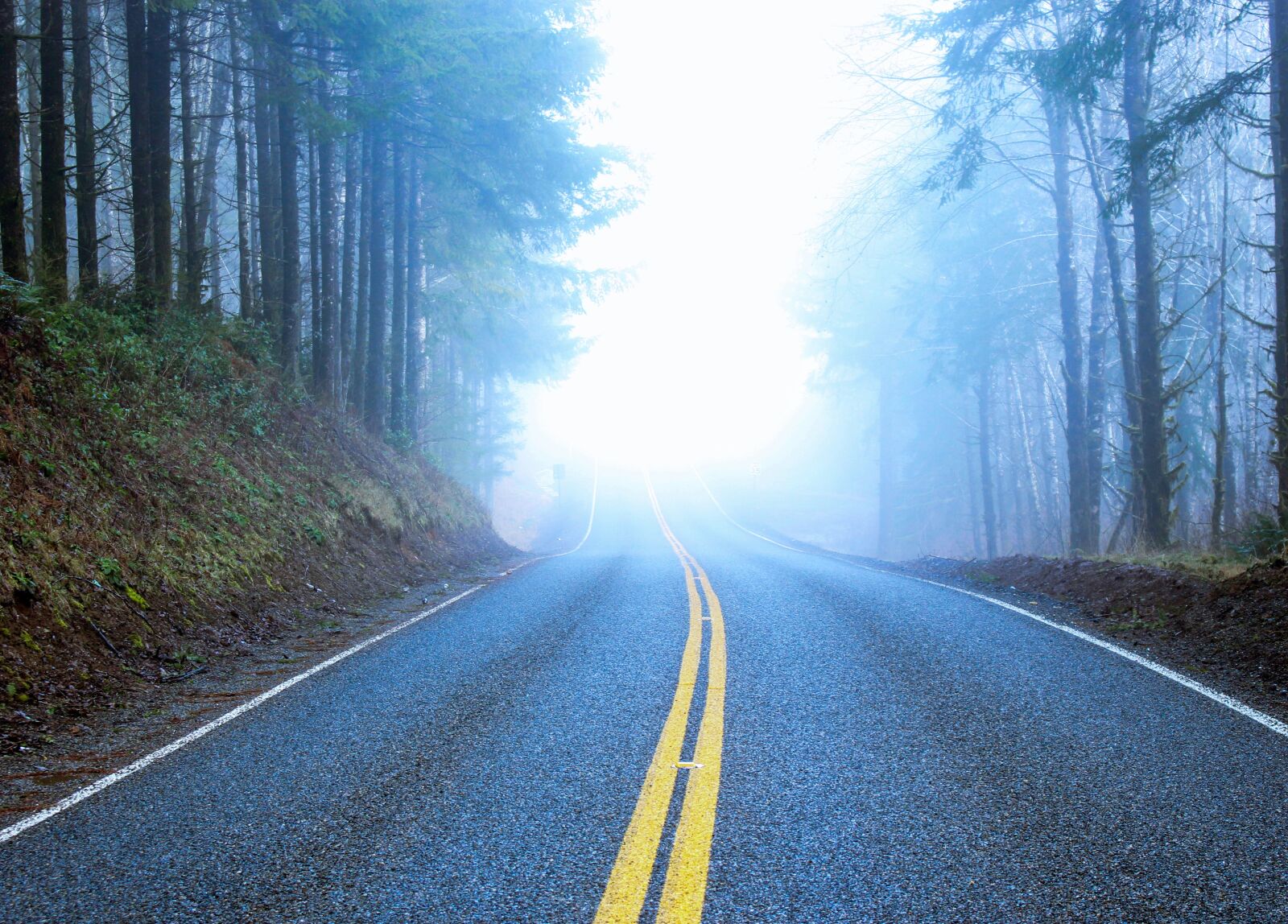 Canon EOS 700D (EOS Rebel T5i / EOS Kiss X7i) sample photo. Road, foggy, forest photography