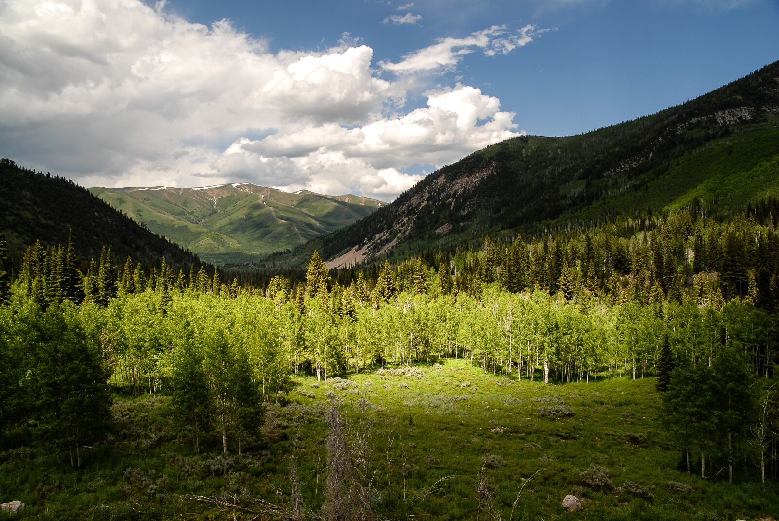 Nikon D200 sample photo. Uinta, utah, mountains photography