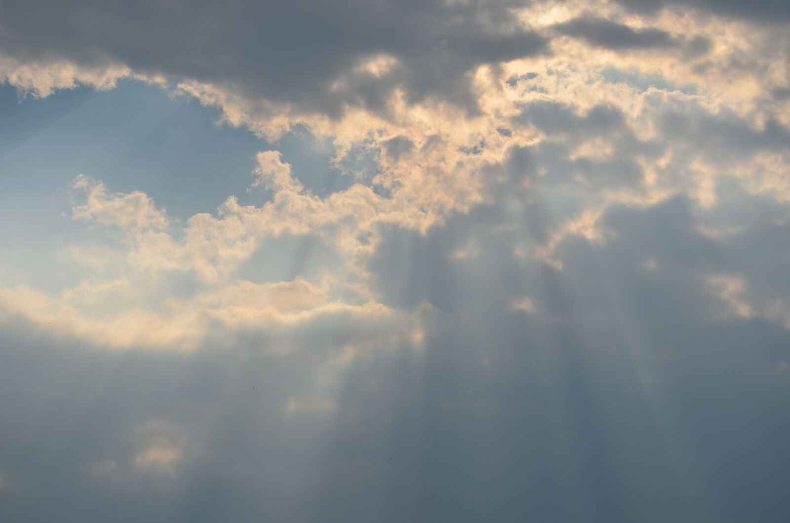 Nikon D5100 sample photo