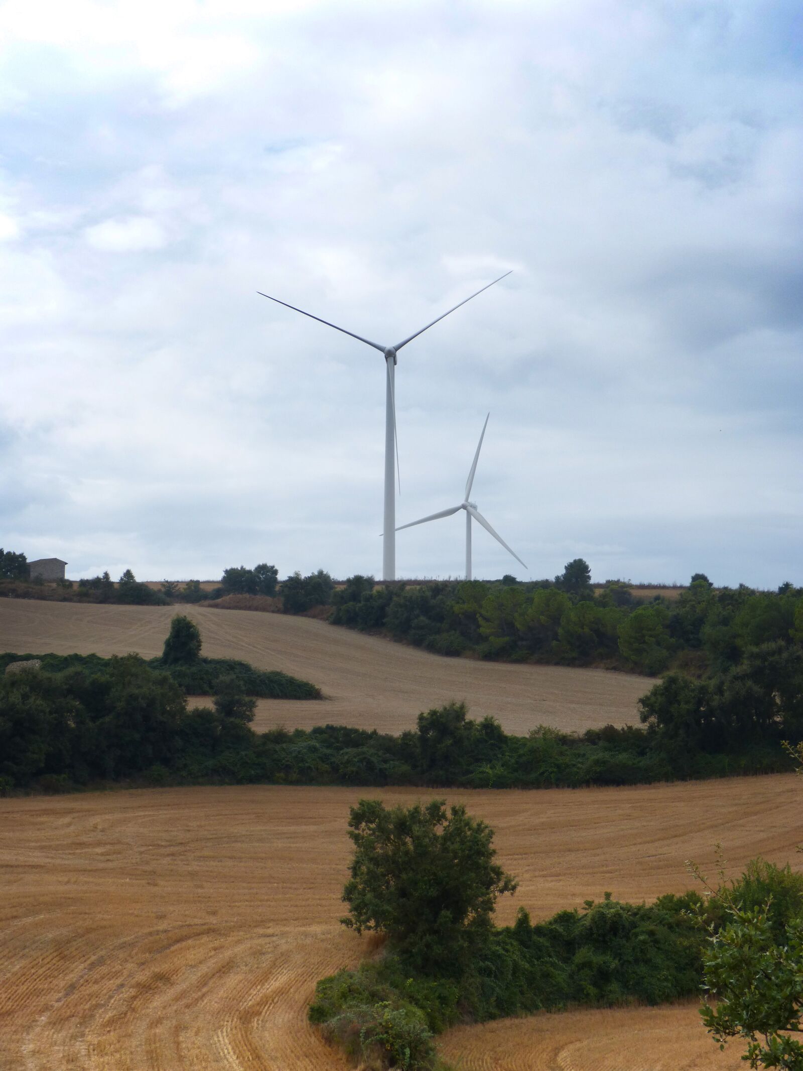 Panasonic DMC-FZ62 sample photo. Wind turbines, mills, grass photography