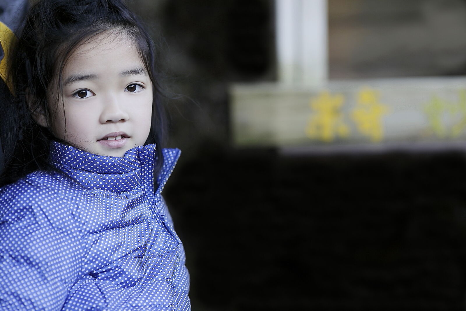 Canon EF 135mm F2L USM sample photo