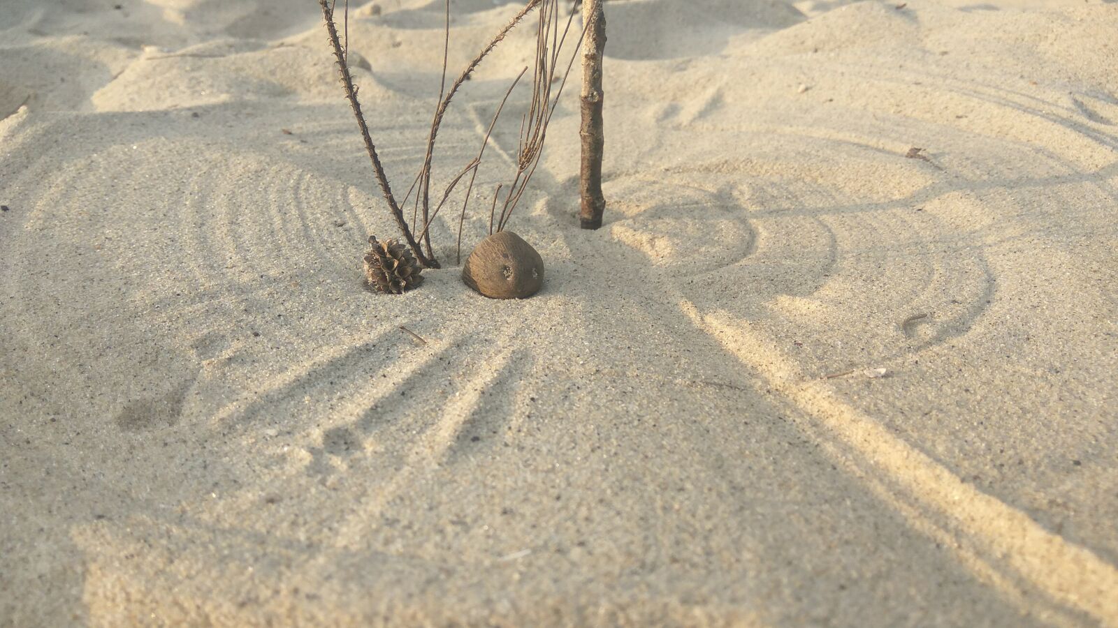 Xiaomi Redmi Note3 sample photo. Sand, beach, fun photography