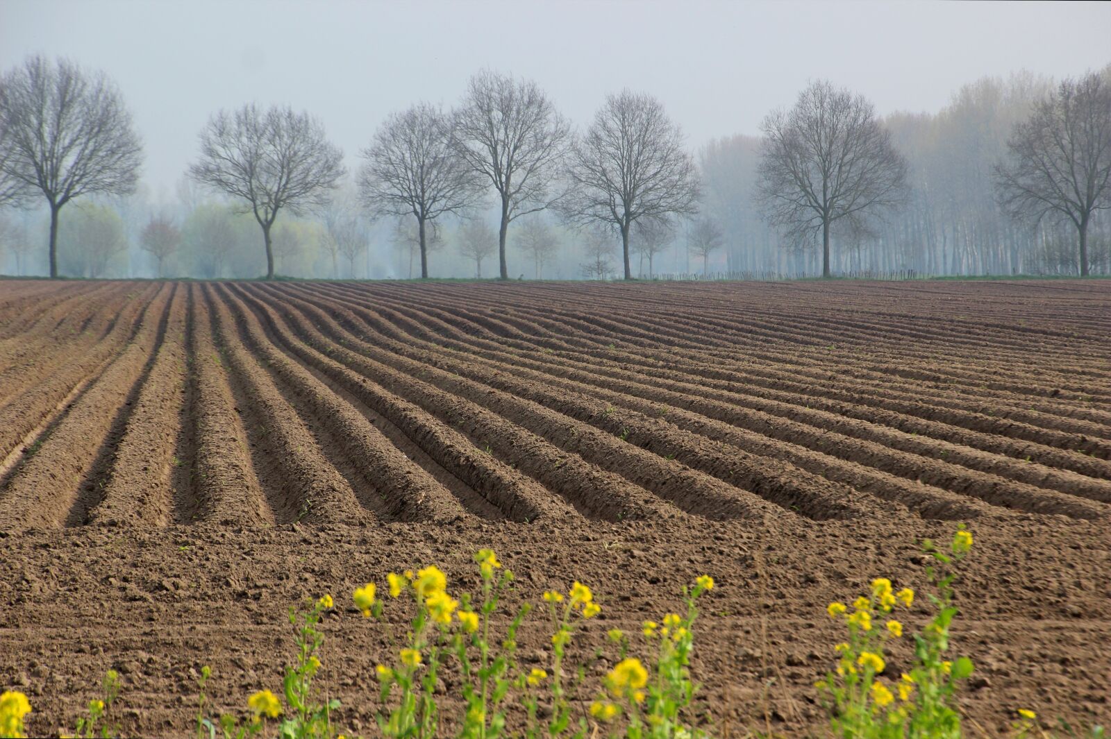Canon EOS 600D (Rebel EOS T3i / EOS Kiss X5) sample photo. Spring, agricultural land, plowed photography