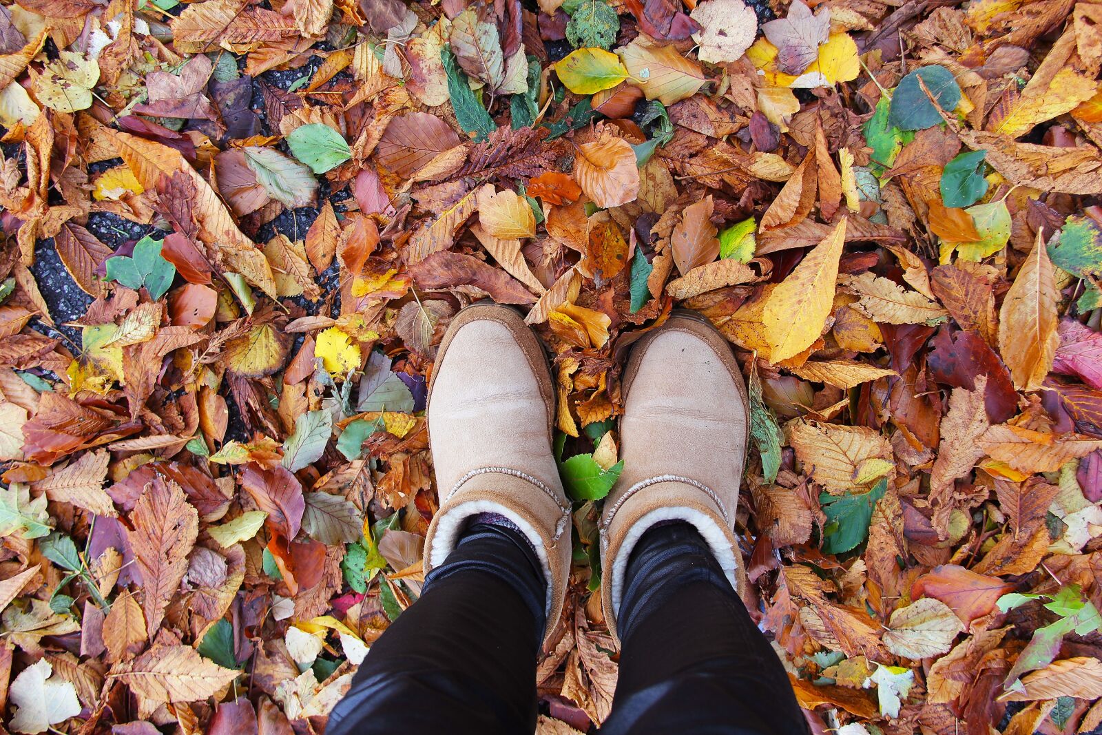 Canon EF-S 18-200mm F3.5-5.6 IS sample photo. Shoe, enjoy, fall photography