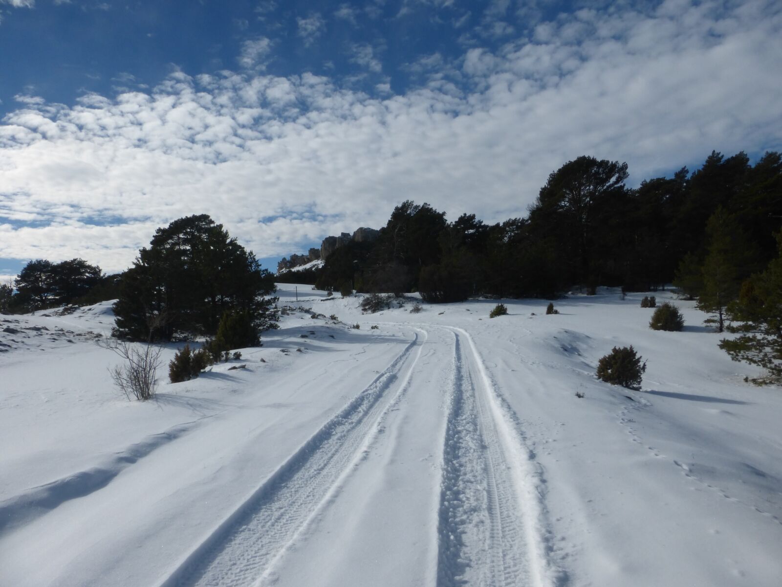 Panasonic Lumix DMC-ZS25 (Lumix DMC-TZ35) sample photo. Landscape, snow, footprints photography