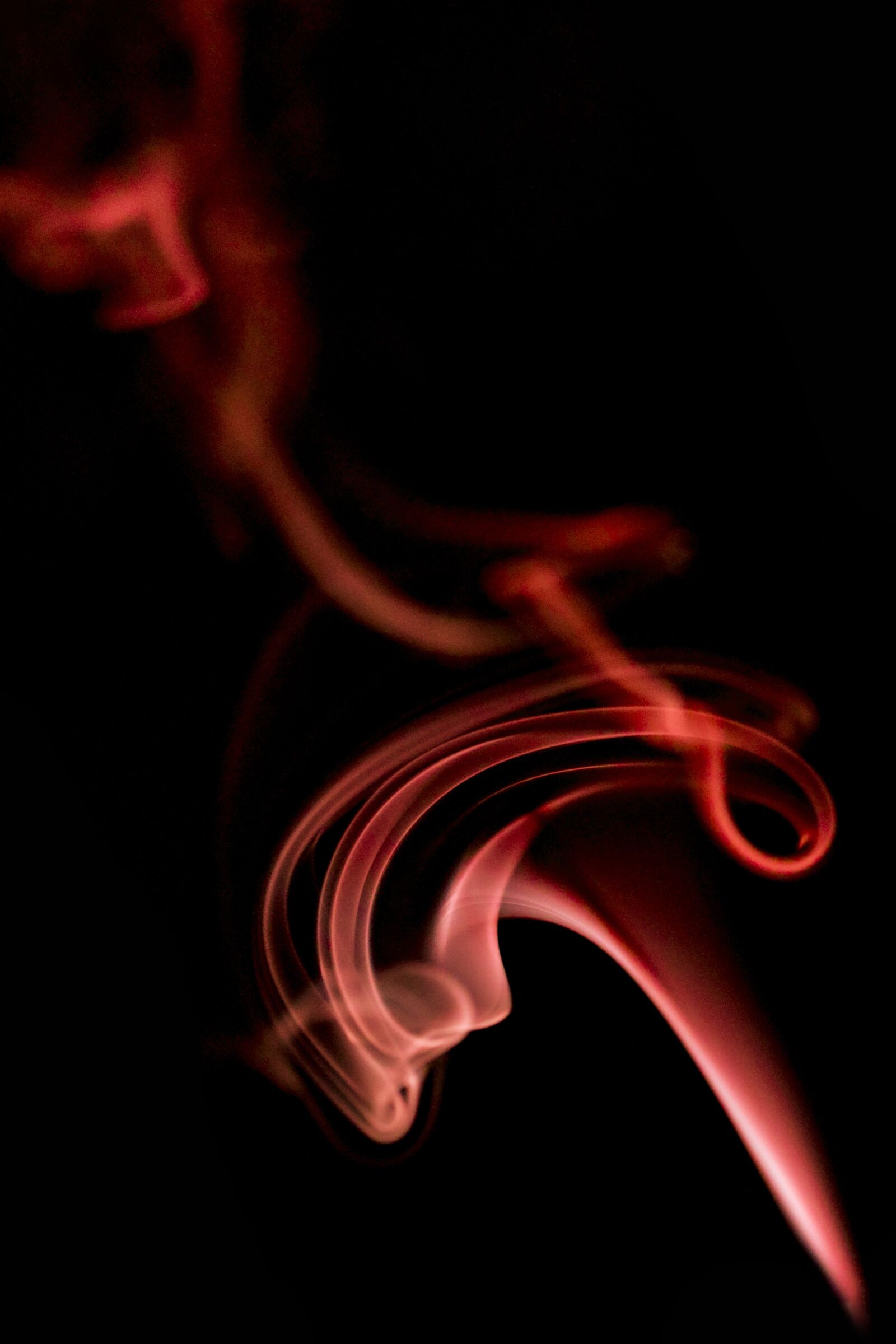 Canon EF 100mm F2.8L Macro IS USM sample photo. Smoke, red, orange photography