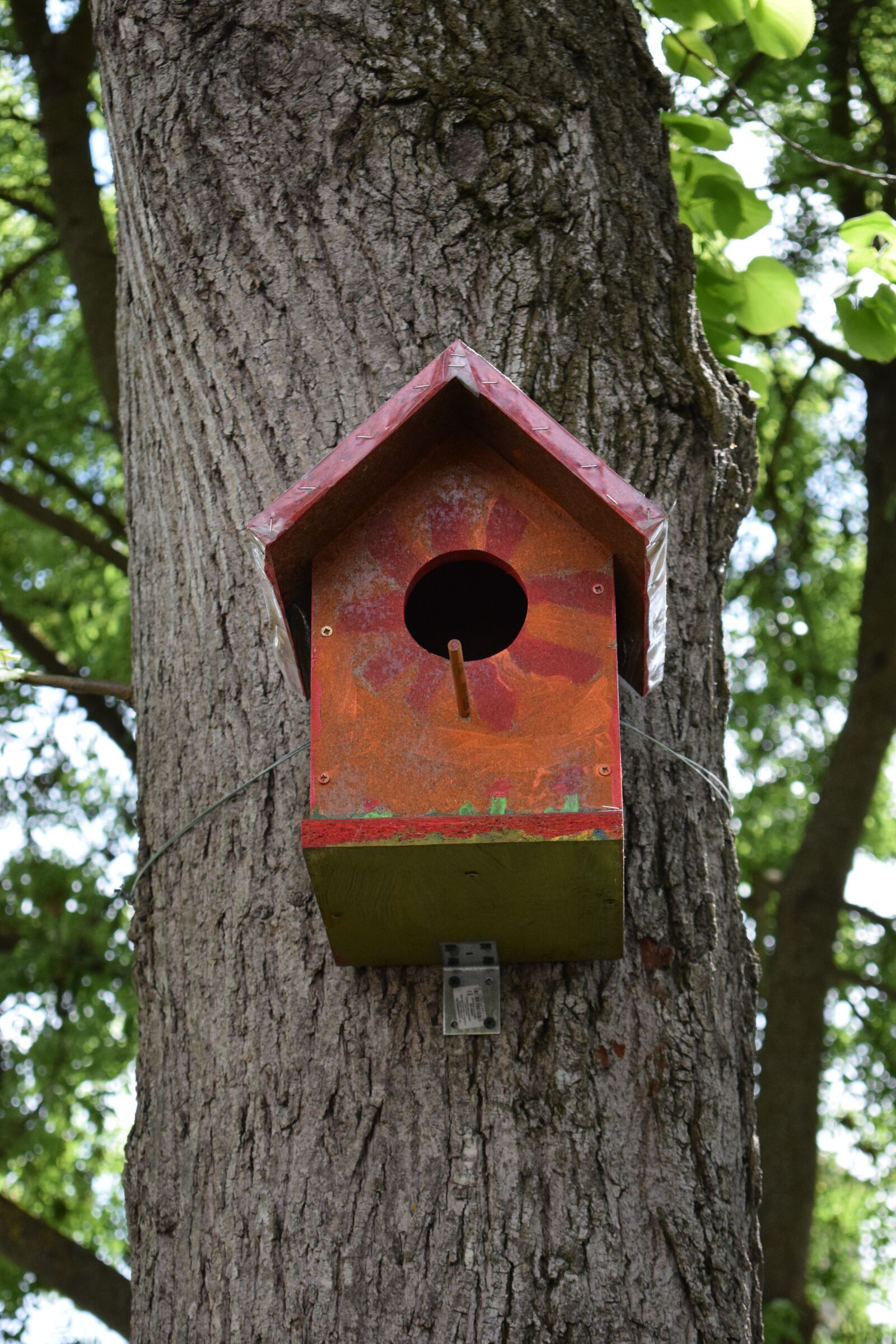 Nikon D3300 sample photo. Birdhouse, bird, home photography