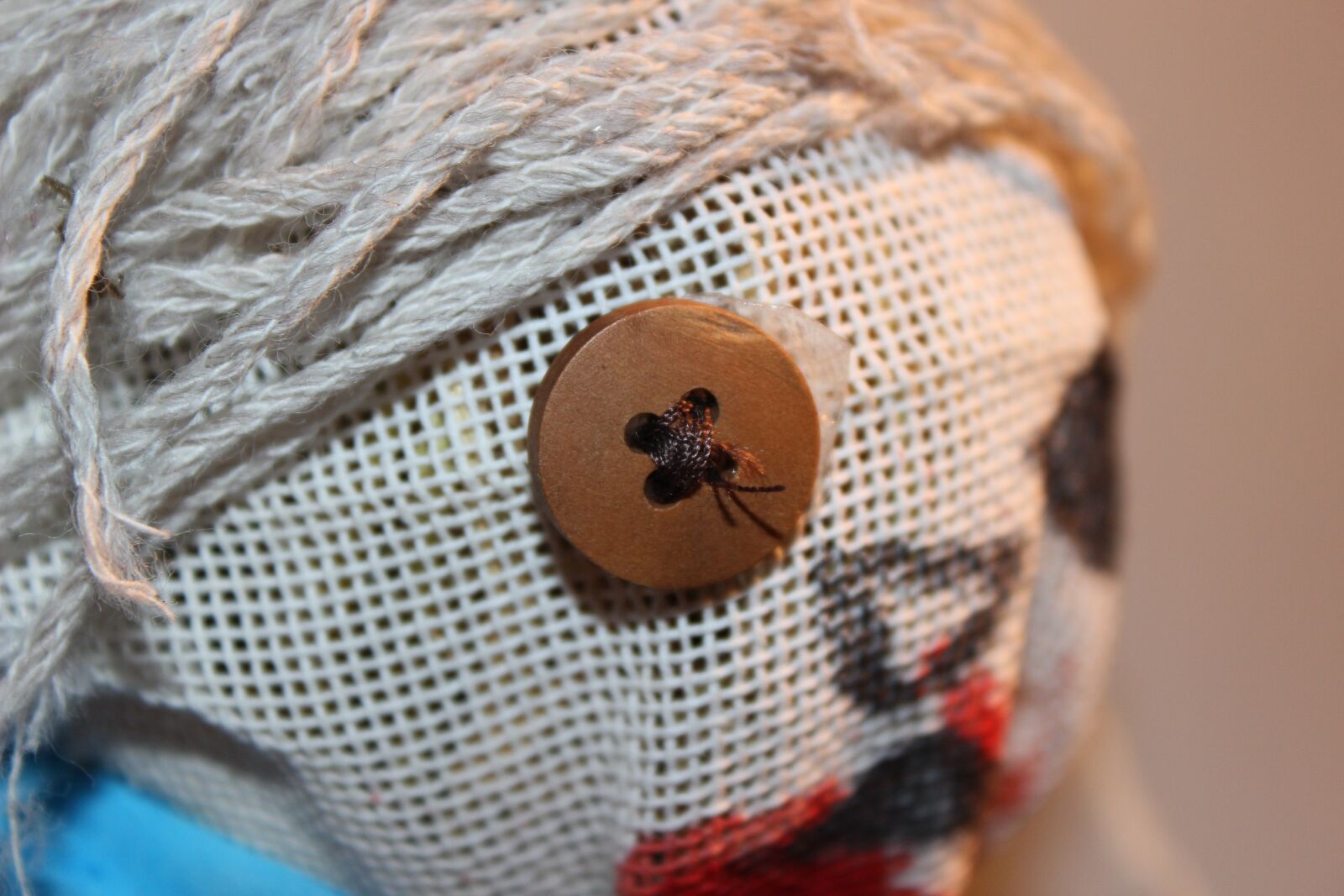 Canon EOS 600D (Rebel EOS T3i / EOS Kiss X5) sample photo. Horror, doll, tomas photography