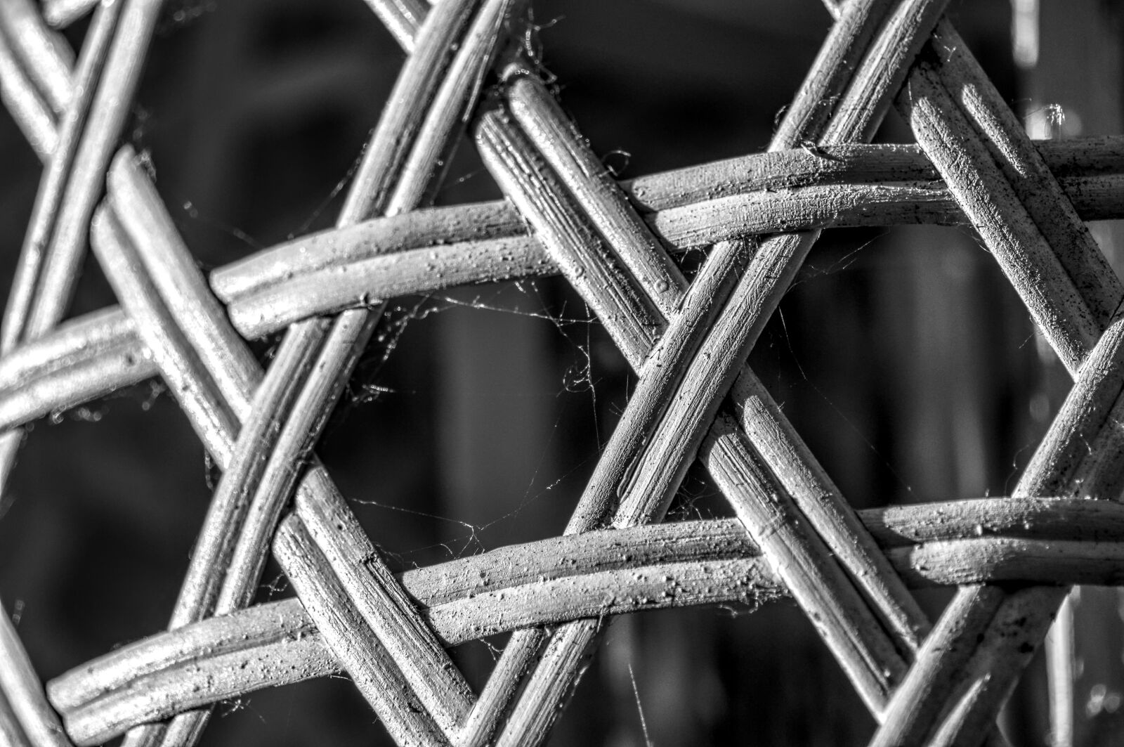 Sony a6000 sample photo. Structure, grid, woven photography