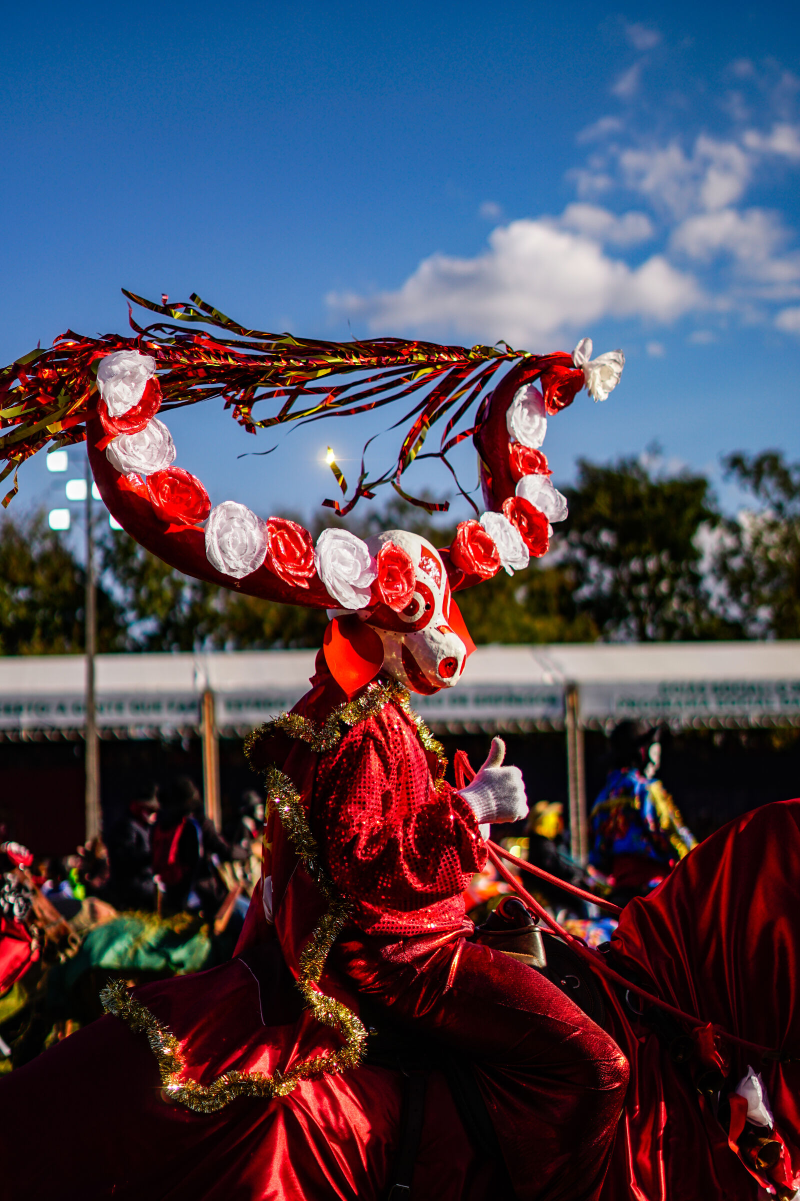 Sony a6300 sample photo. Mascarado pirenopolis photography