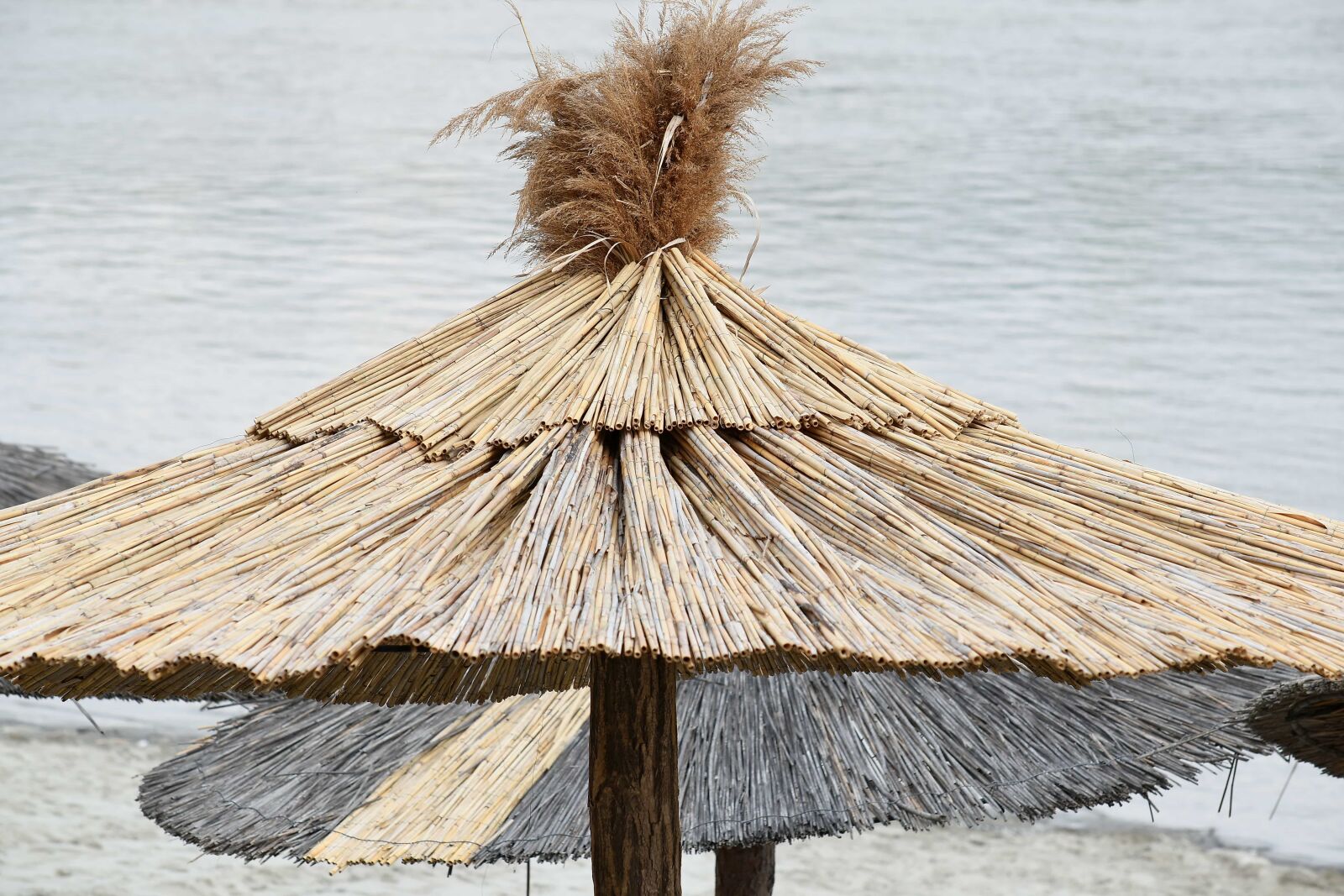 Nikon D5500 sample photo. Parasol, shadow, nature, covering photography