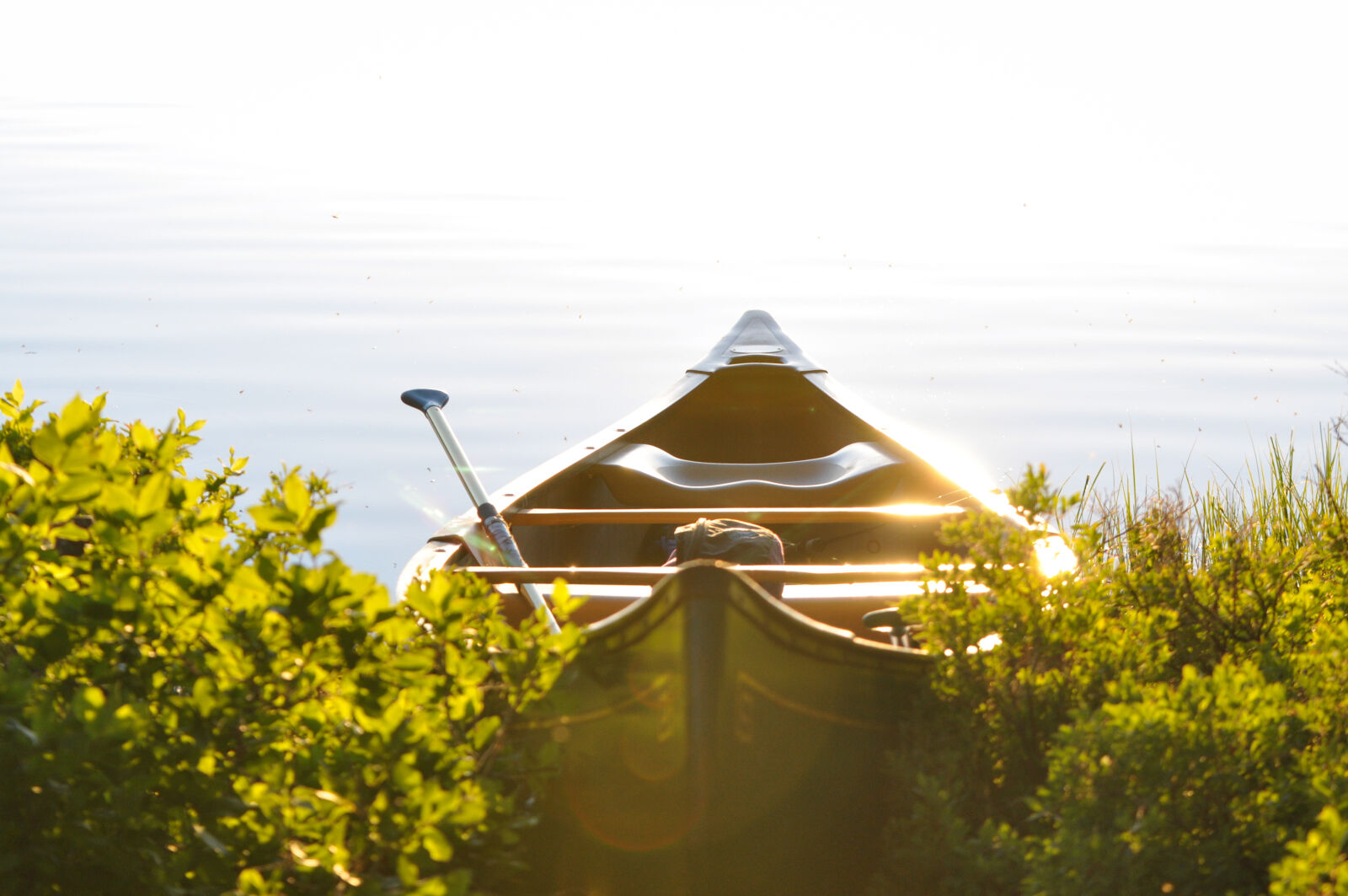 Nikon D90 sample photo. Brown, wooden, boat, in photography