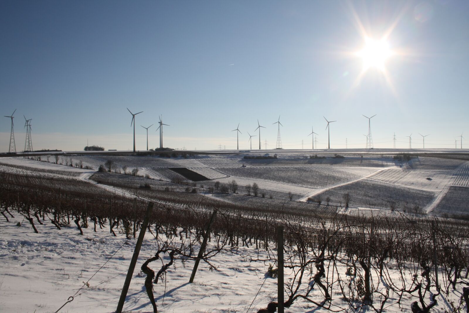 Canon EOS 1000D (EOS Digital Rebel XS / EOS Kiss F) sample photo. Winter, vineyards, windräder photography