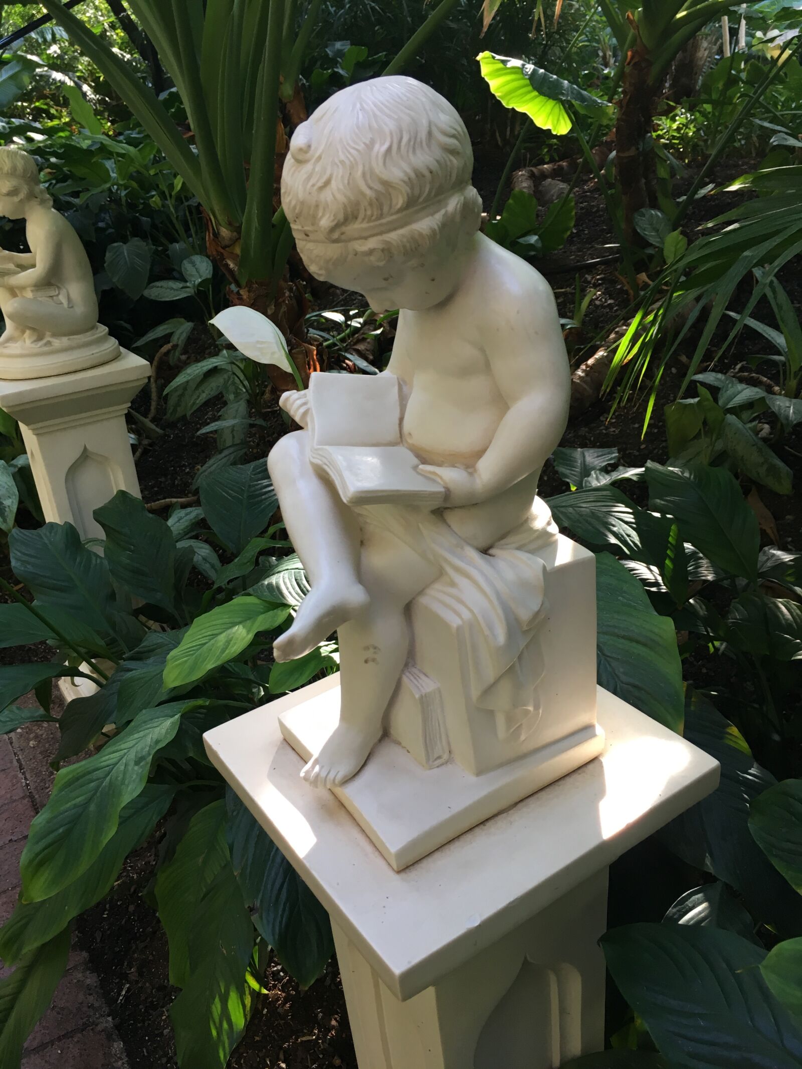 Apple iPhone 6s sample photo. Read, book, sitting photography