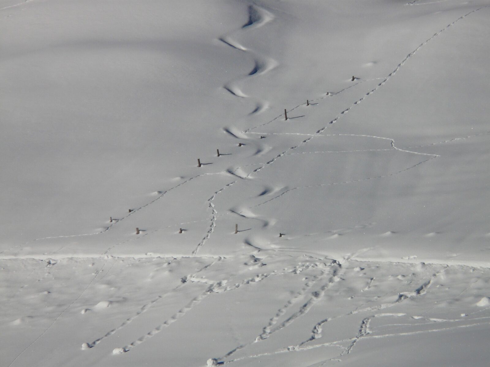 Panasonic DMC-FZ18 sample photo. Traces, snow, snowy photography