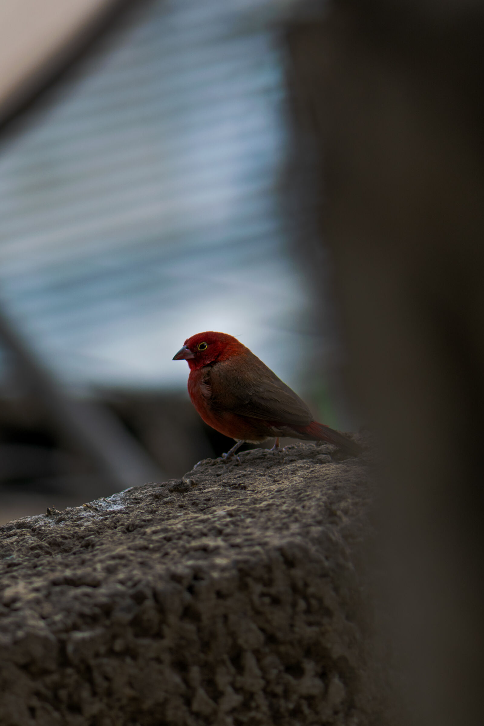 Nikon D3300 sample photo
