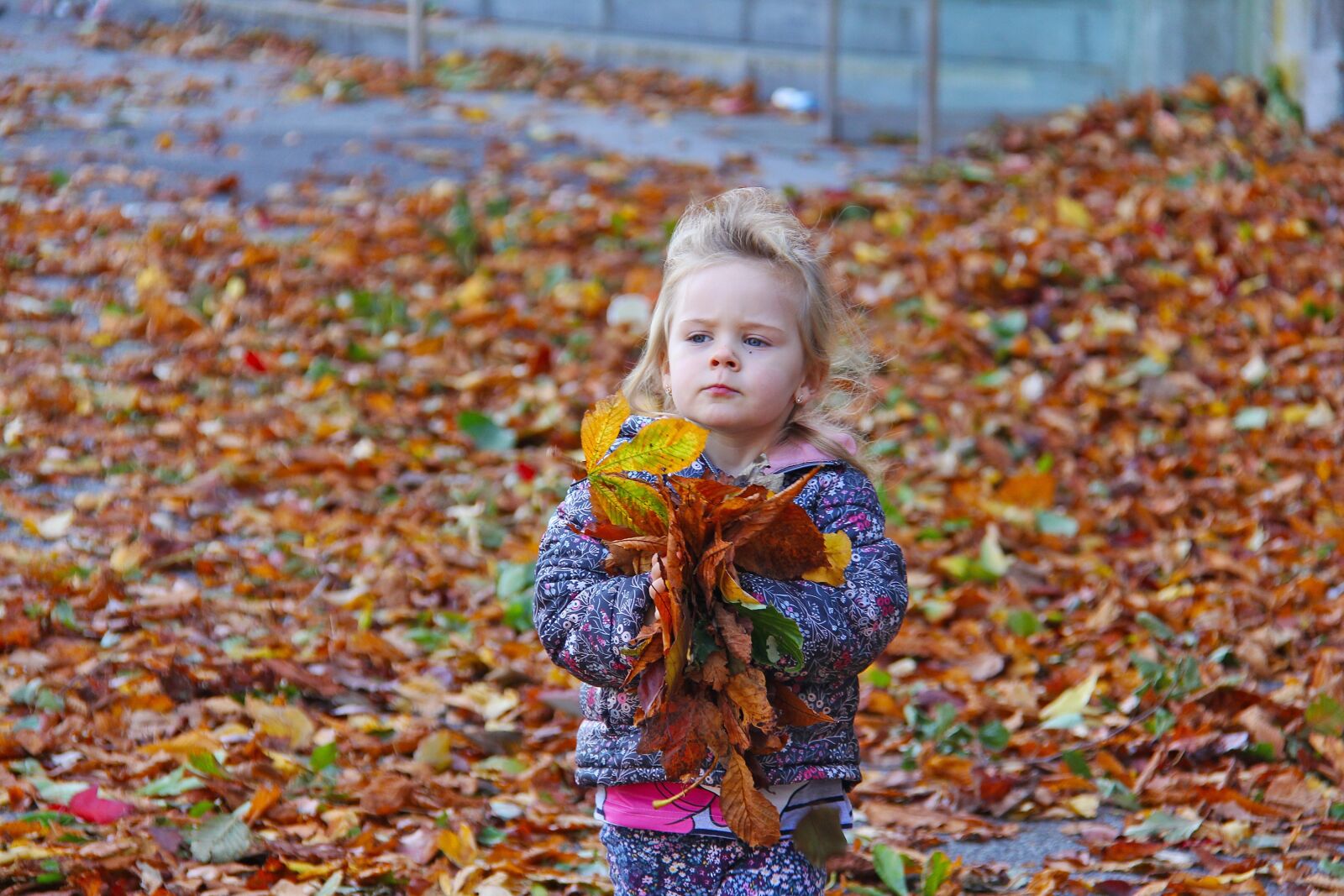 Canon EF-S 18-200mm F3.5-5.6 IS sample photo. Child, playing, fall photography