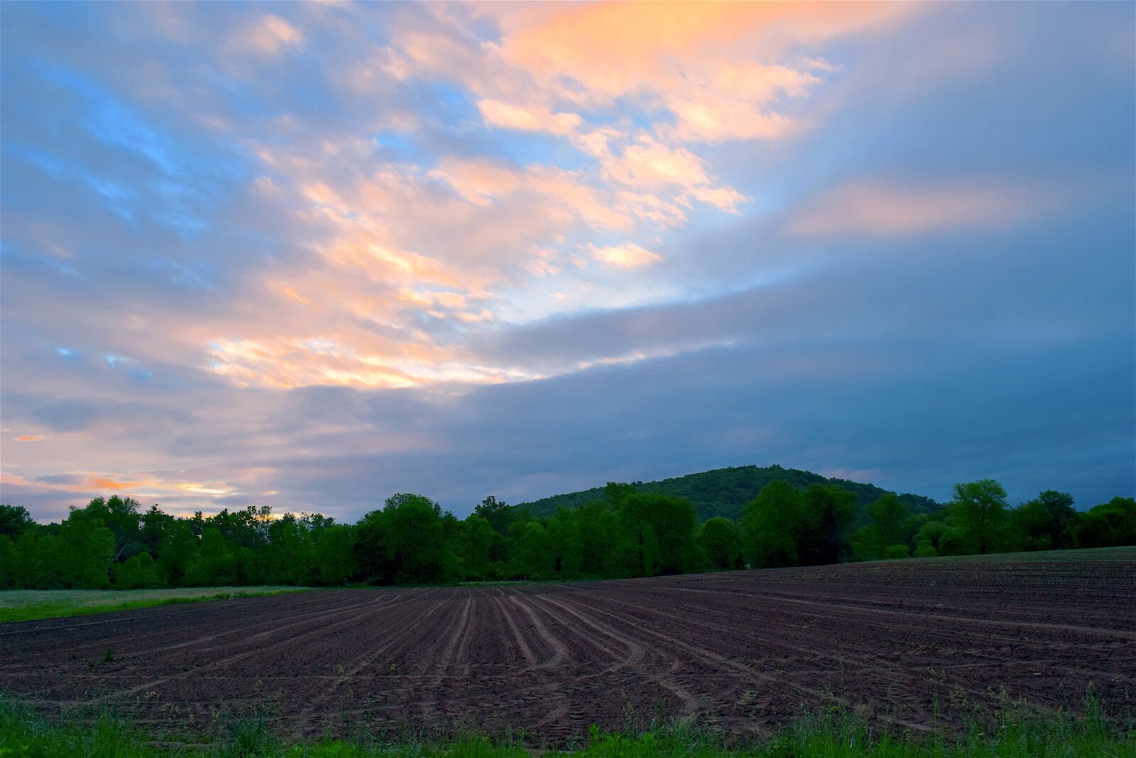Nikon D3300 sample photo. Sunrise, farmland, nature photography