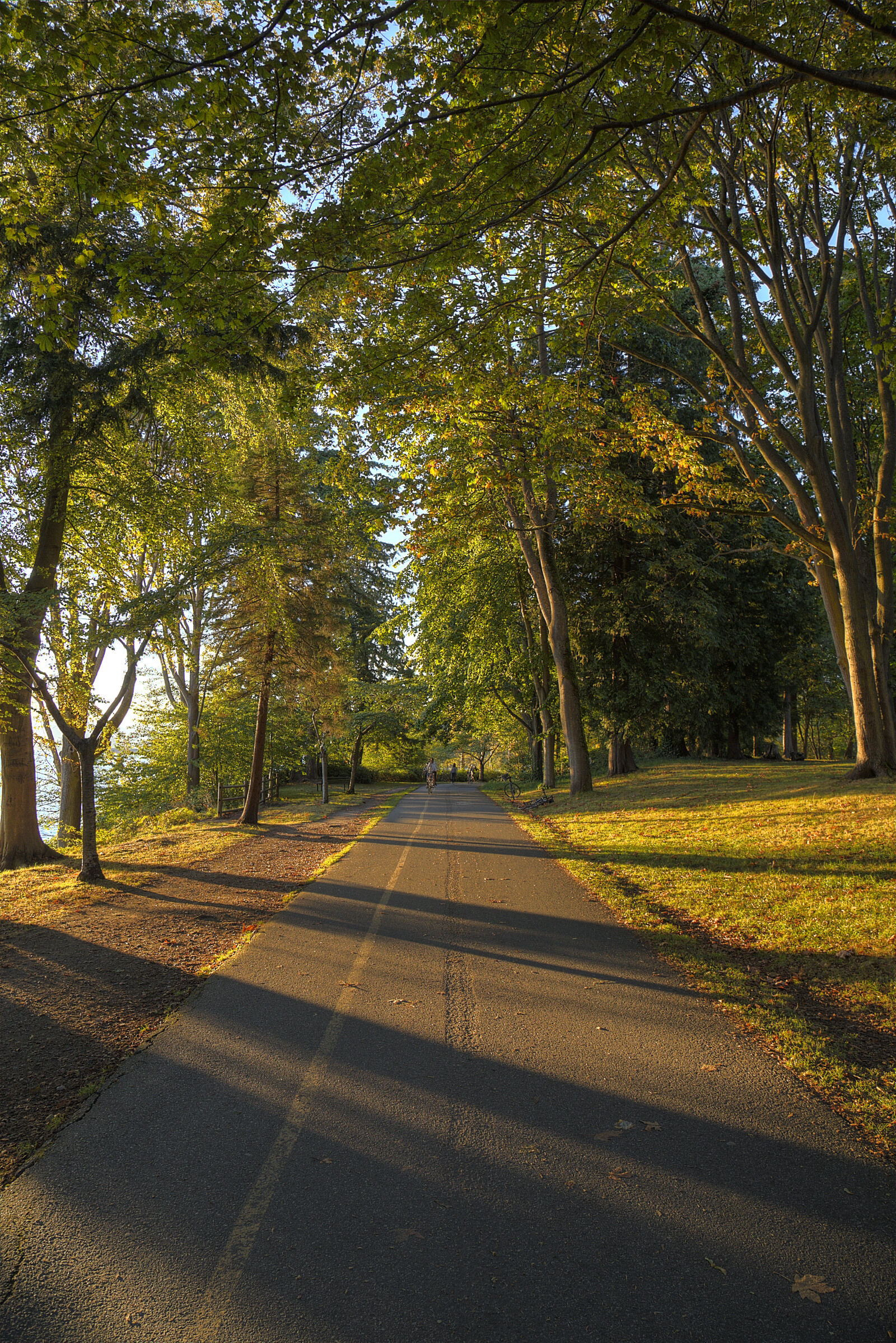 Canon EOS 6D + Canon EF 24-105mm F4L IS USM sample photo. Lighting, path, sunset, trees photography