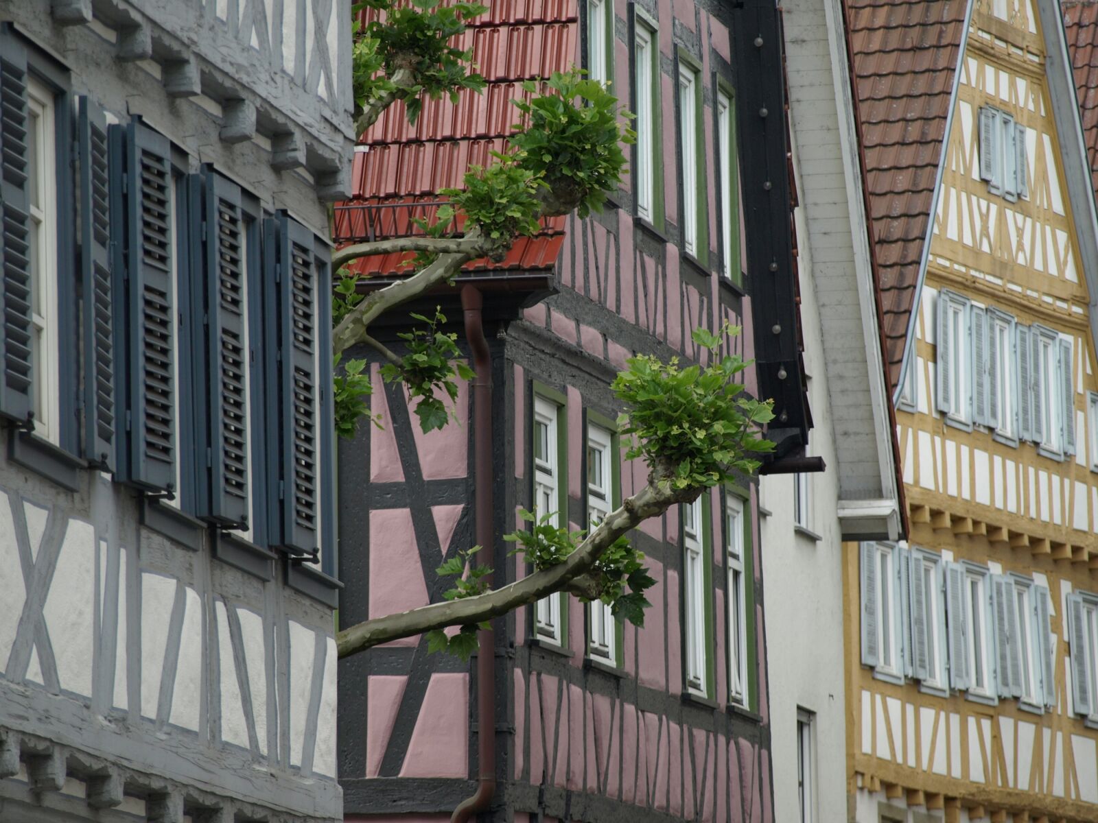 Olympus E-510 (EVOLT E-510) sample photo. Waiblingen, truss, historic center photography