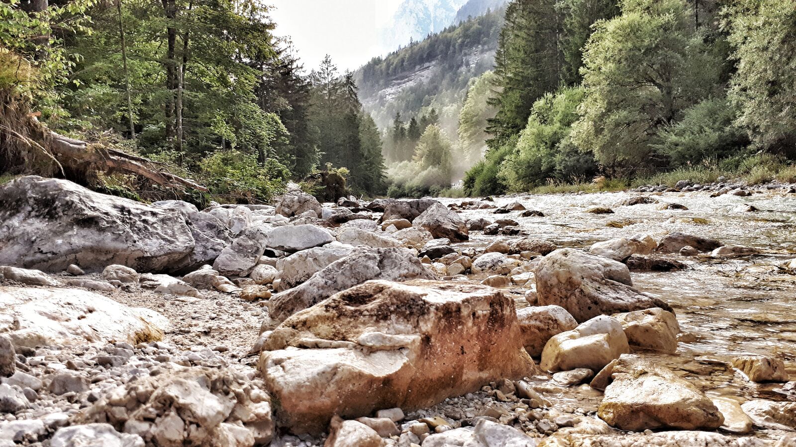 Samsung Galaxy A5(2017) sample photo