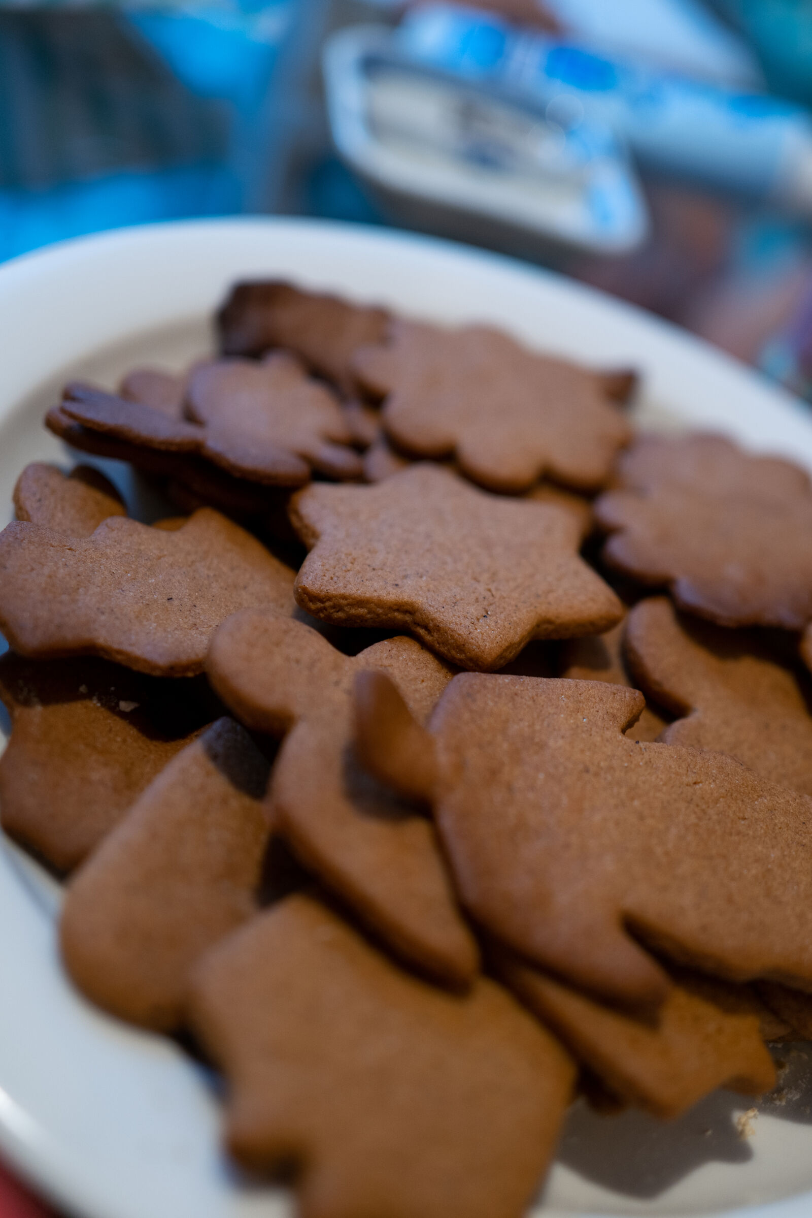 Leica Q2 sample photo. Bare gingerbreads photography
