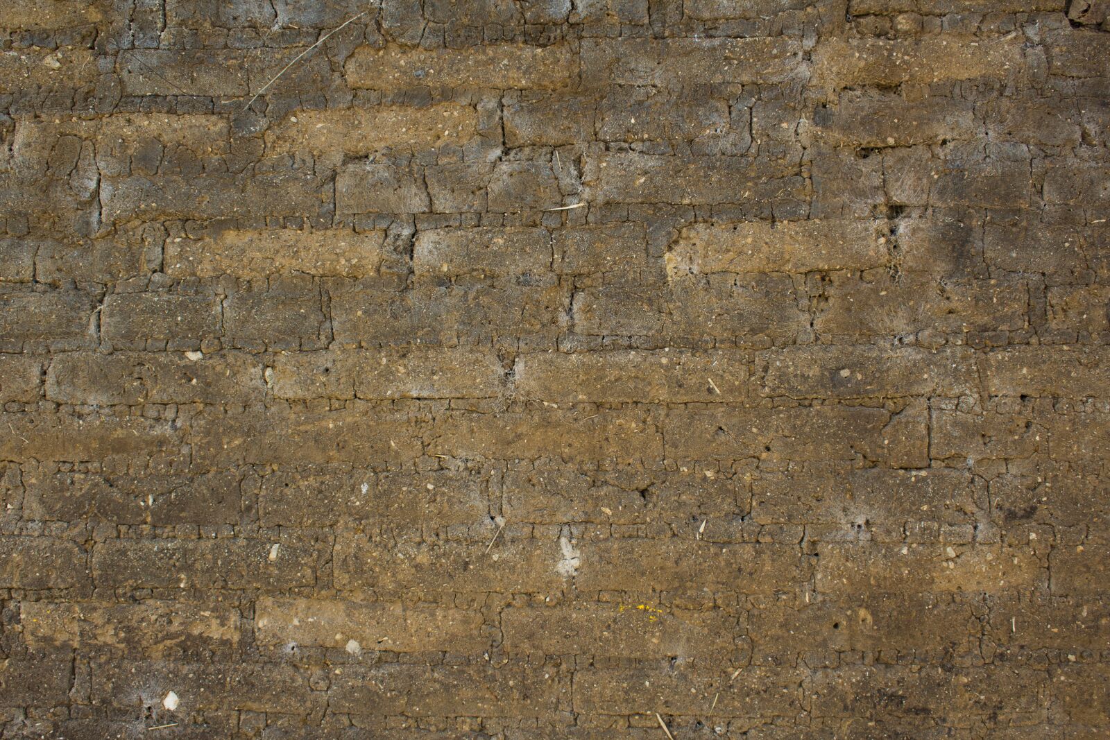 Canon EOS 1200D (EOS Rebel T5 / EOS Kiss X70 / EOS Hi) sample photo. Wall, brick, mud photography