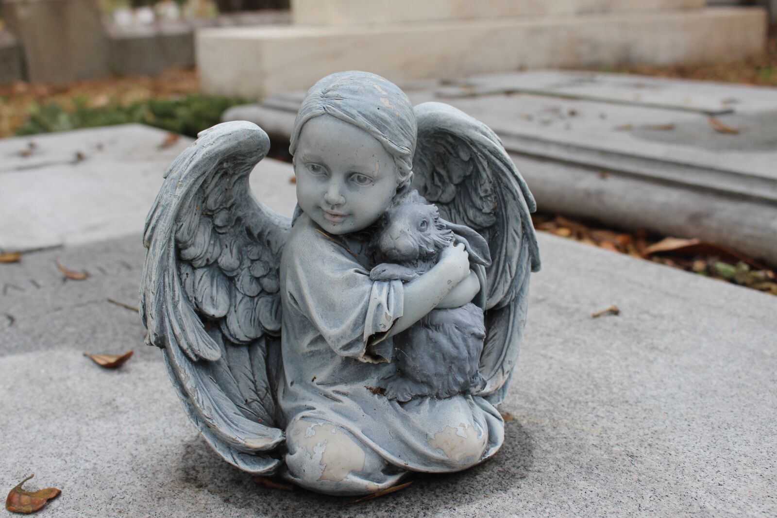Canon EOS 700D (EOS Rebel T5i / EOS Kiss X7i) sample photo. Angel, cemetery, death photography