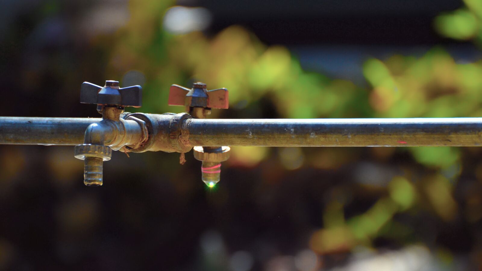 Nikon D7000 sample photo. Outdoors, tap, faucet photography