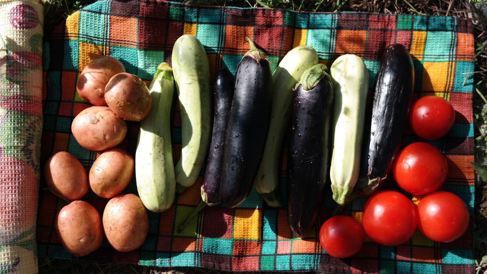 Samsung NX300 sample photo. Vegetables, tomato, potatoes photography