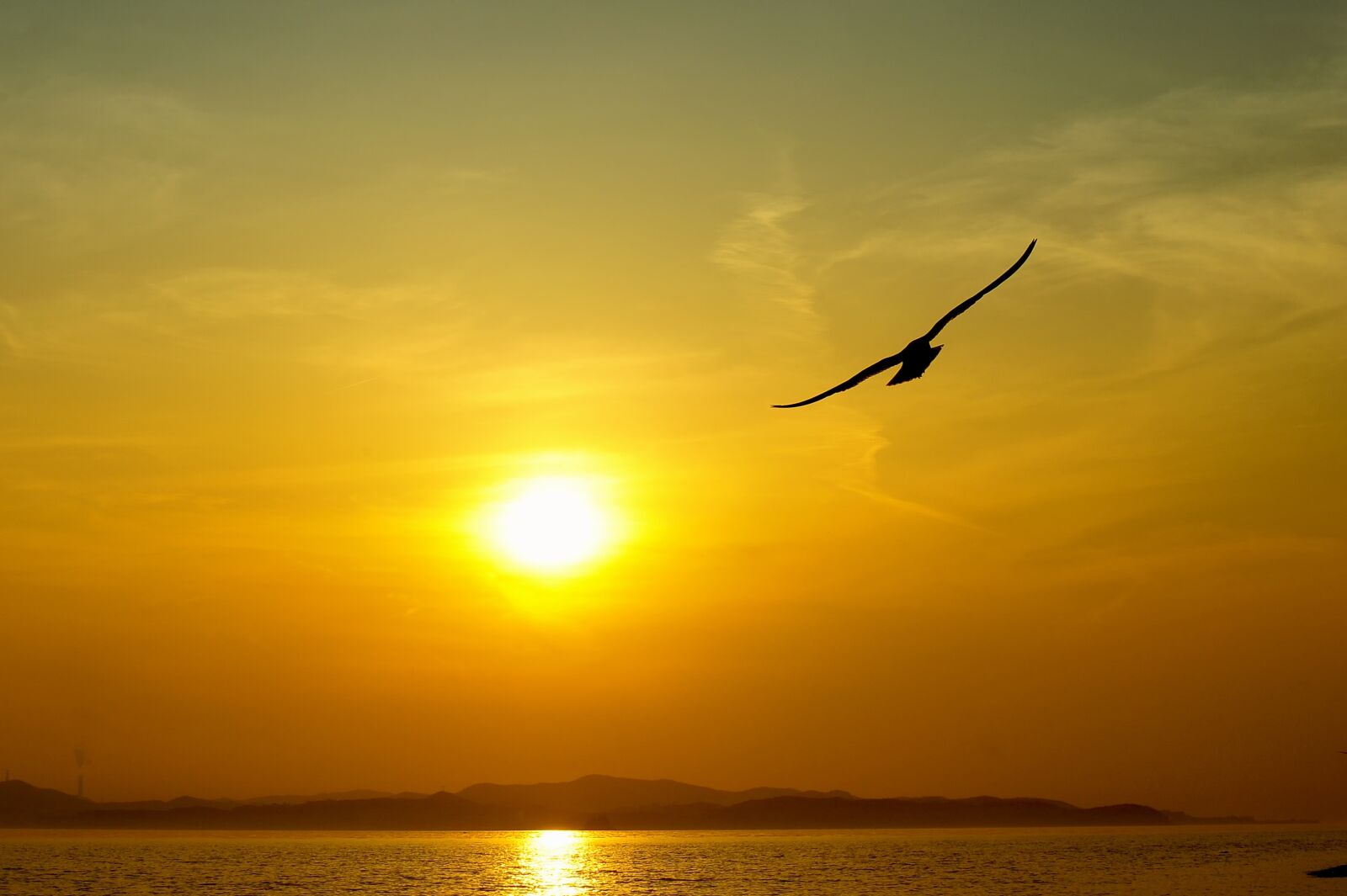 Nikon D700 sample photo. Sea, sky, solar photography