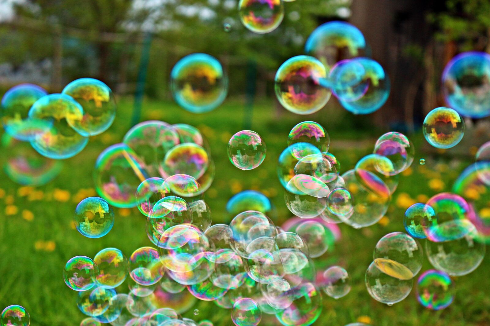 Canon EOS 100D (EOS Rebel SL1 / EOS Kiss X7) sample photo. Spring, soap bubble, meadow photography
