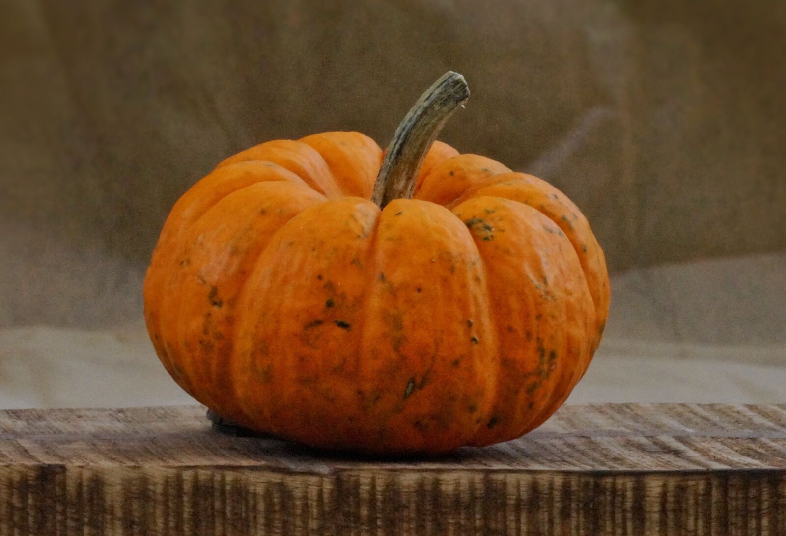 Sony SLT-A58 + Minolta AF 100mm F2.8 Macro [New] sample photo. Pumpkin, autumn, harvest photography
