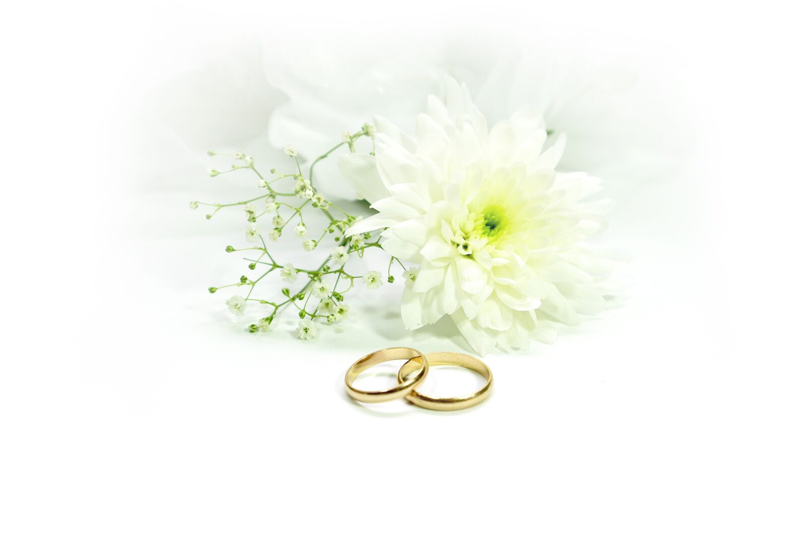 Pentax K10D sample photo. Wedding, rings, marry photography