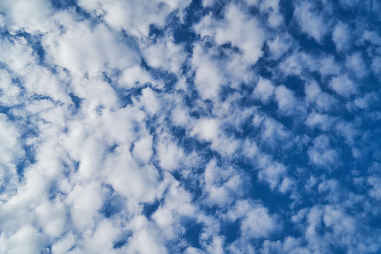 Sony a7R II sample photo. Cloud, blue, white photography