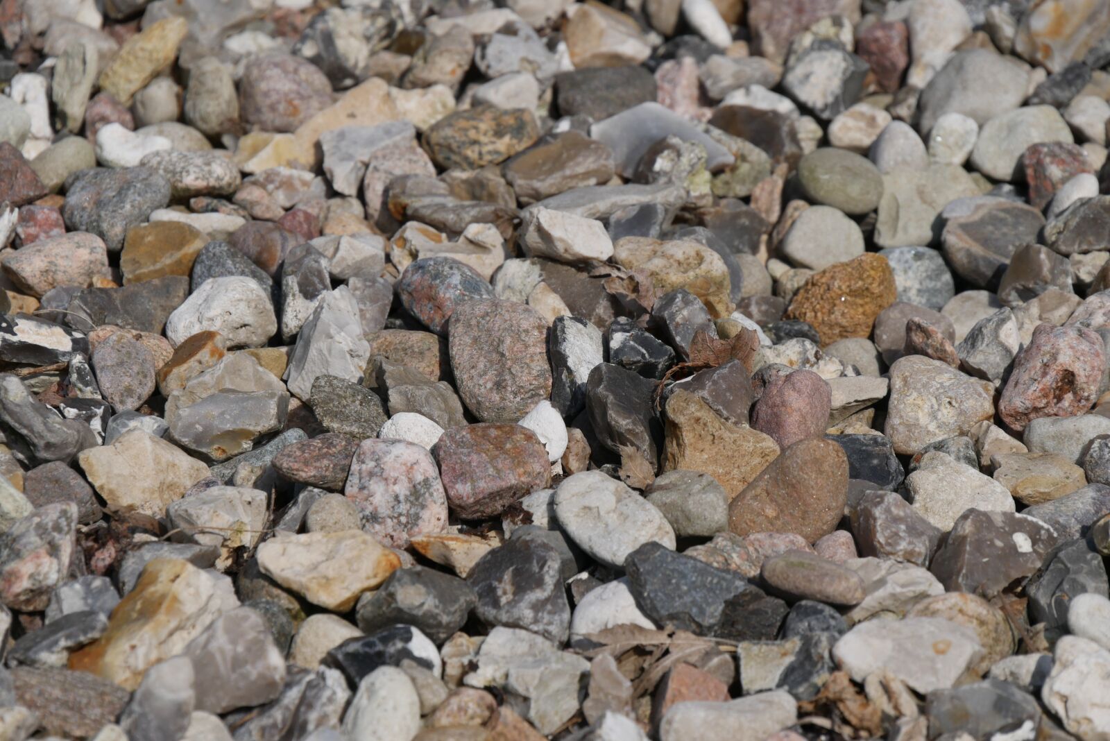 Panasonic DMC-G70 sample photo. Stone, pattern, texture photography