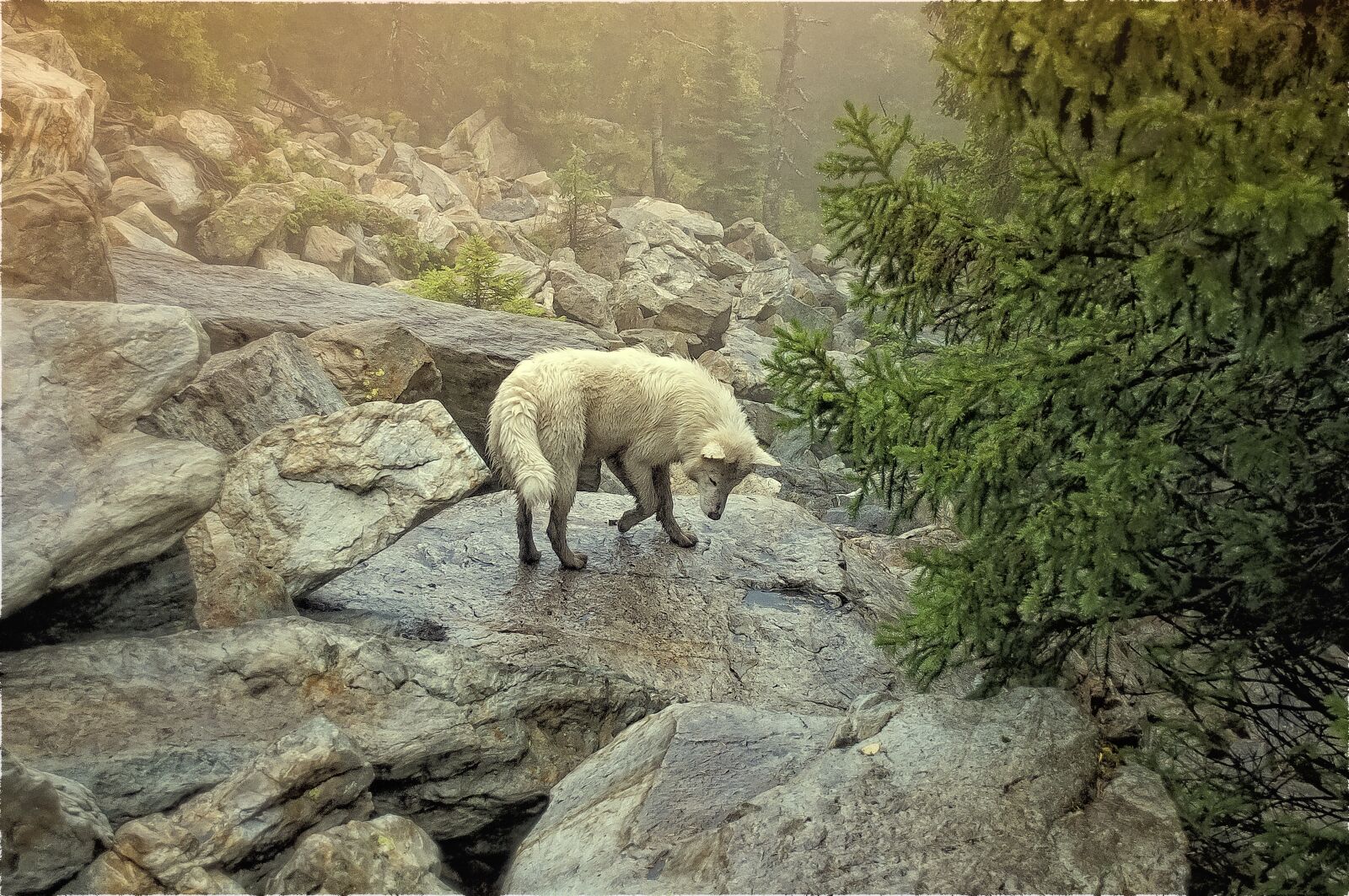 Nikon D5000 sample photo. Nature, stone, outdoors photography