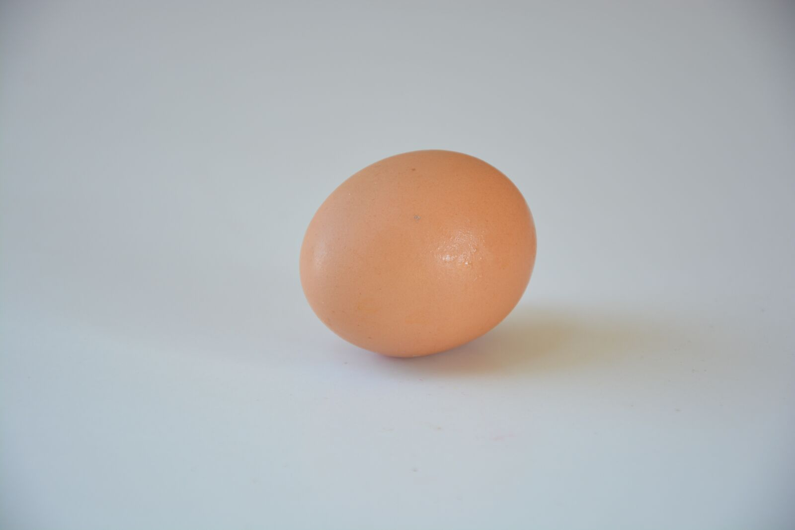 Nikon D5200 sample photo. Egg, chicken egg, organic photography